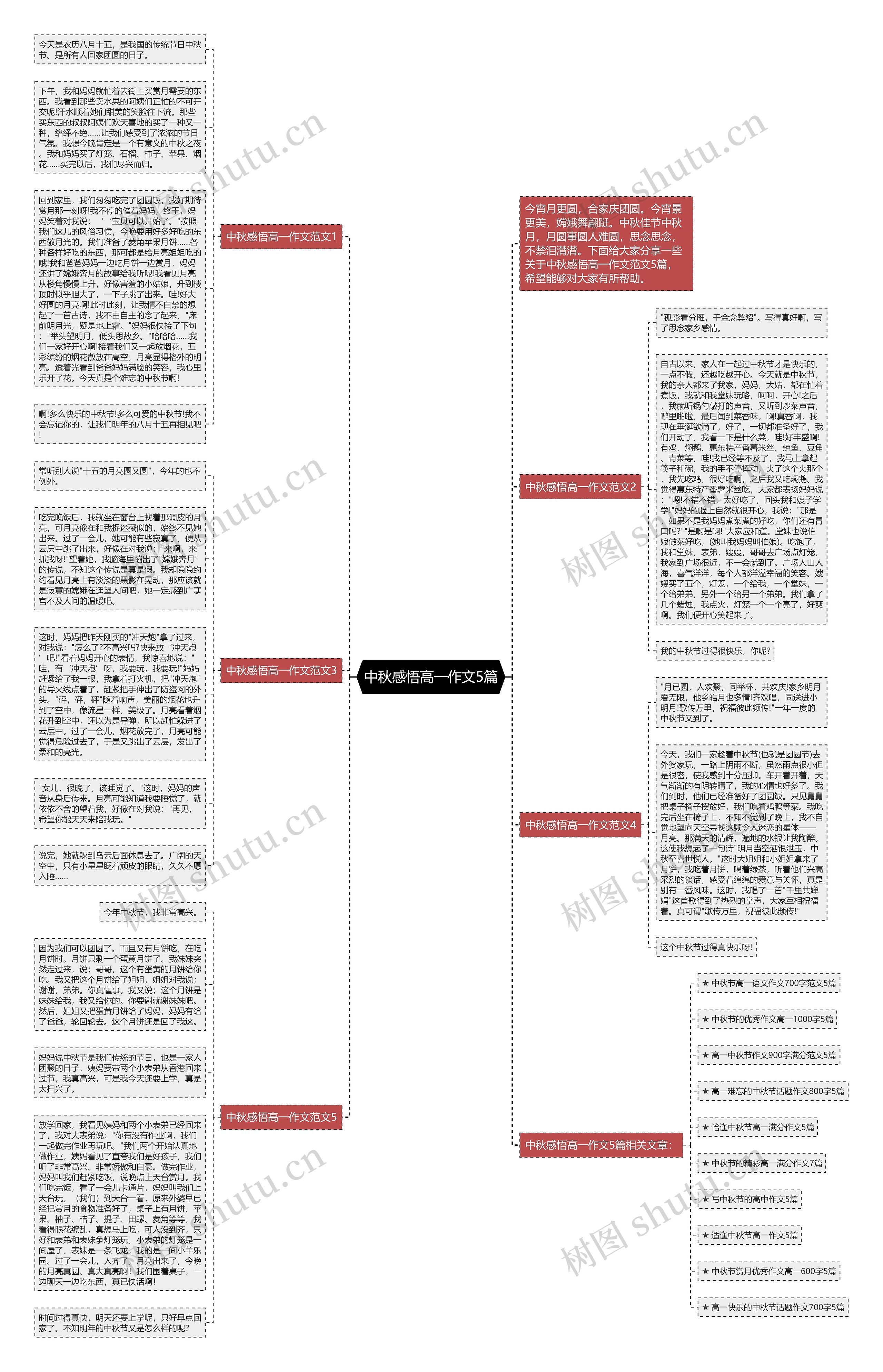 中秋感悟高一作文5篇思维导图