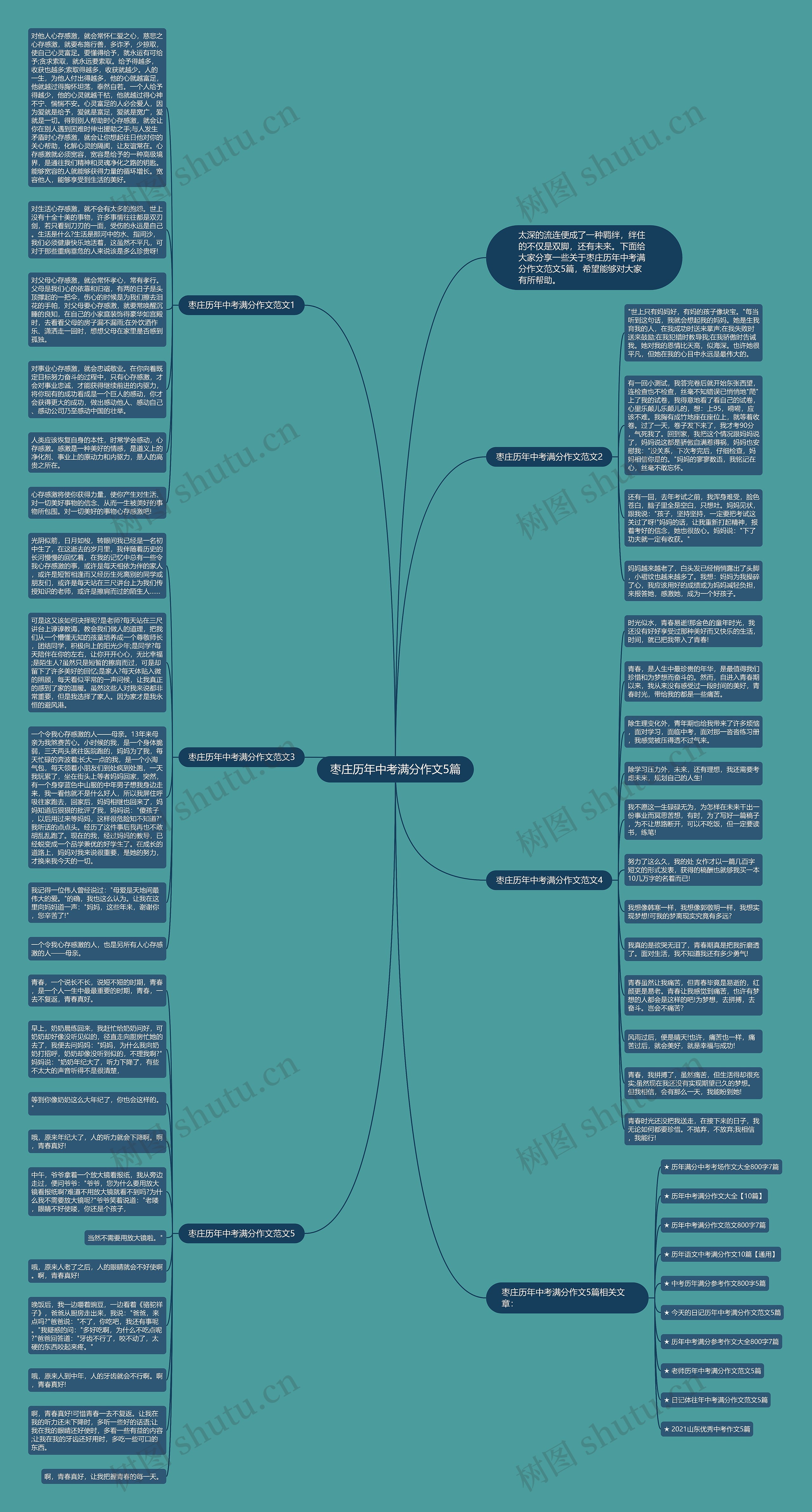 枣庄历年中考满分作文5篇思维导图