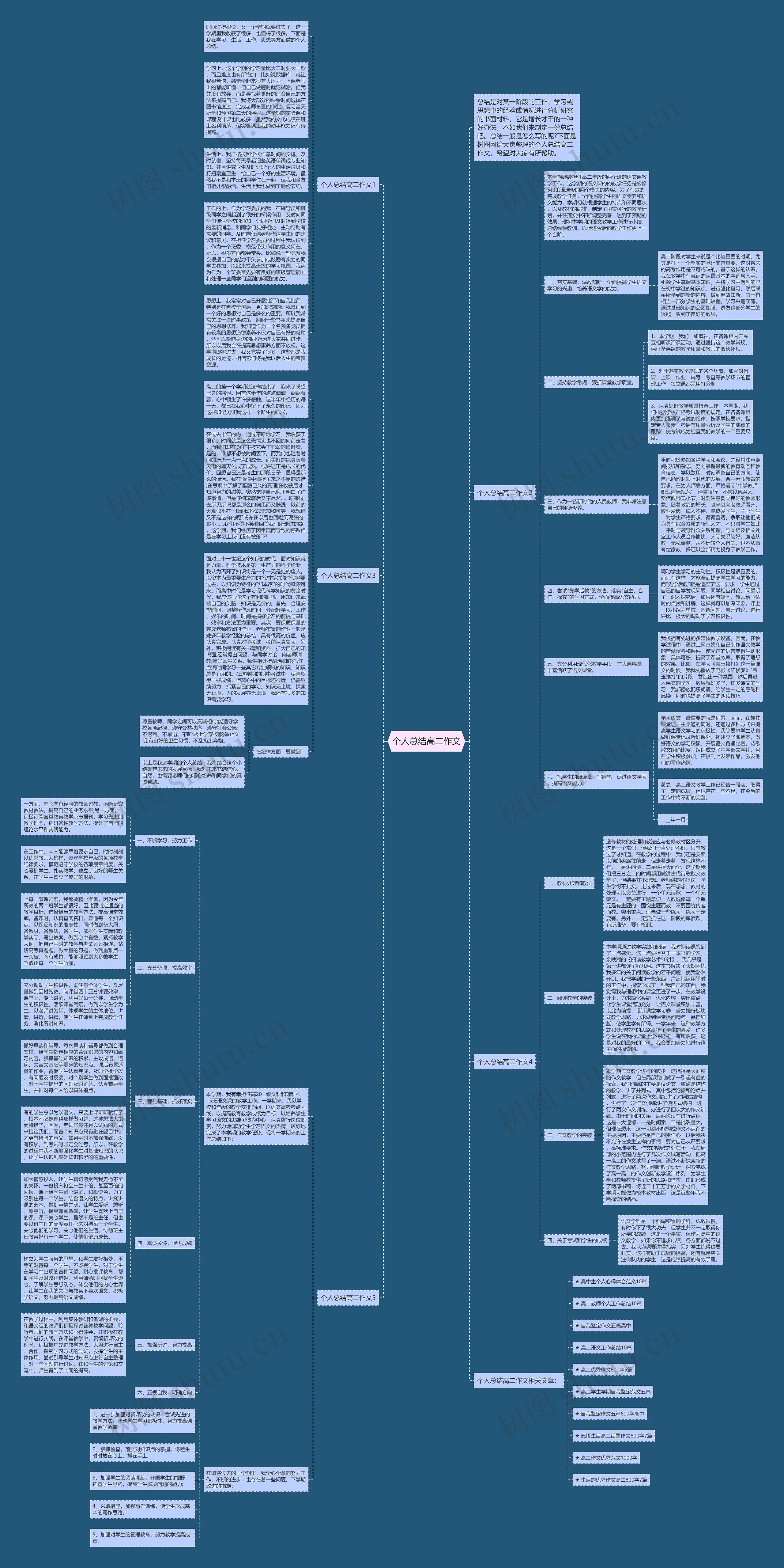 个人总结高二作文思维导图