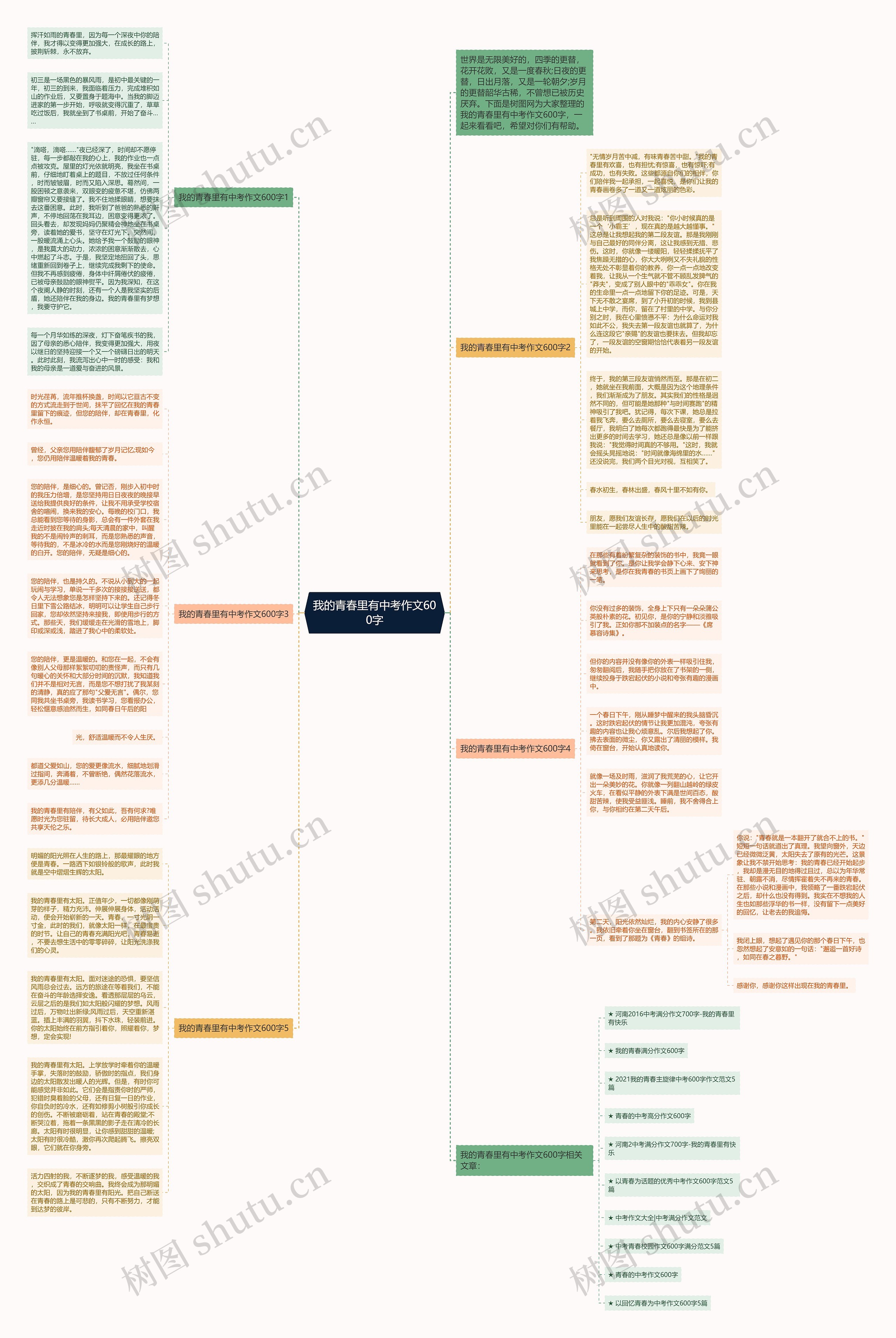 我的青春里有中考作文600字思维导图
