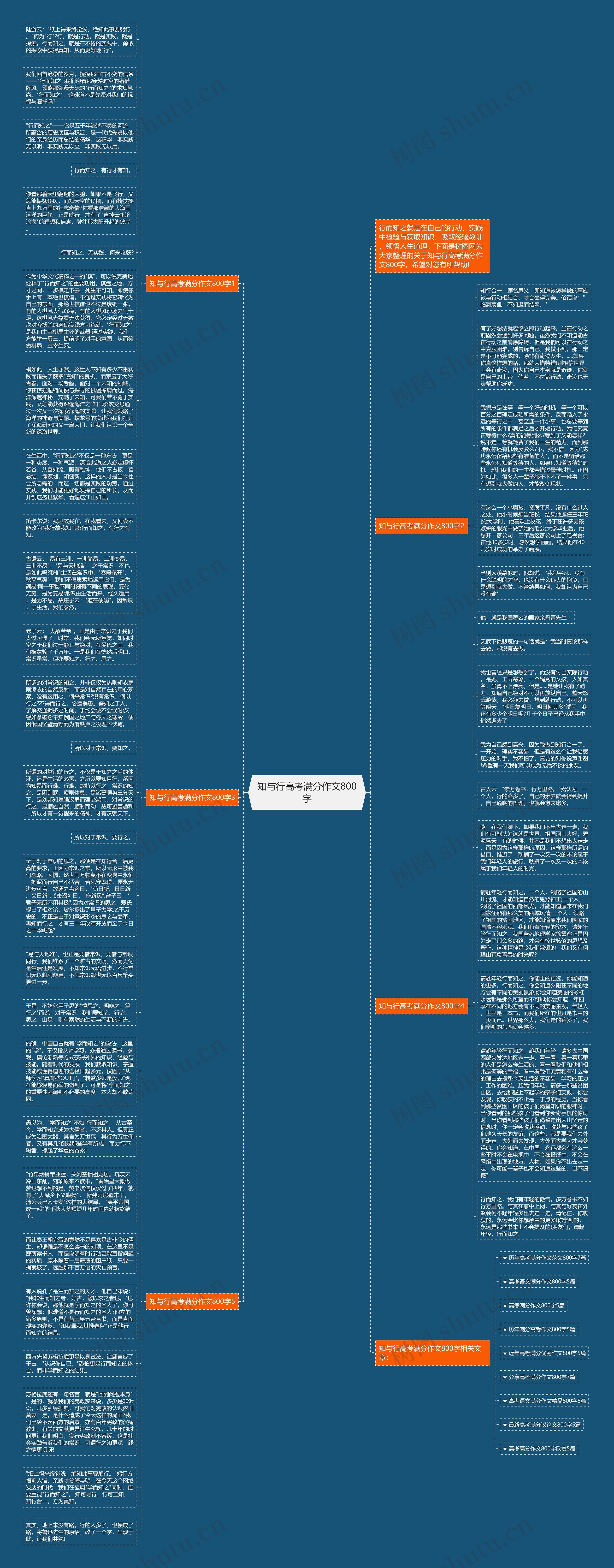 知与行高考满分作文800字思维导图