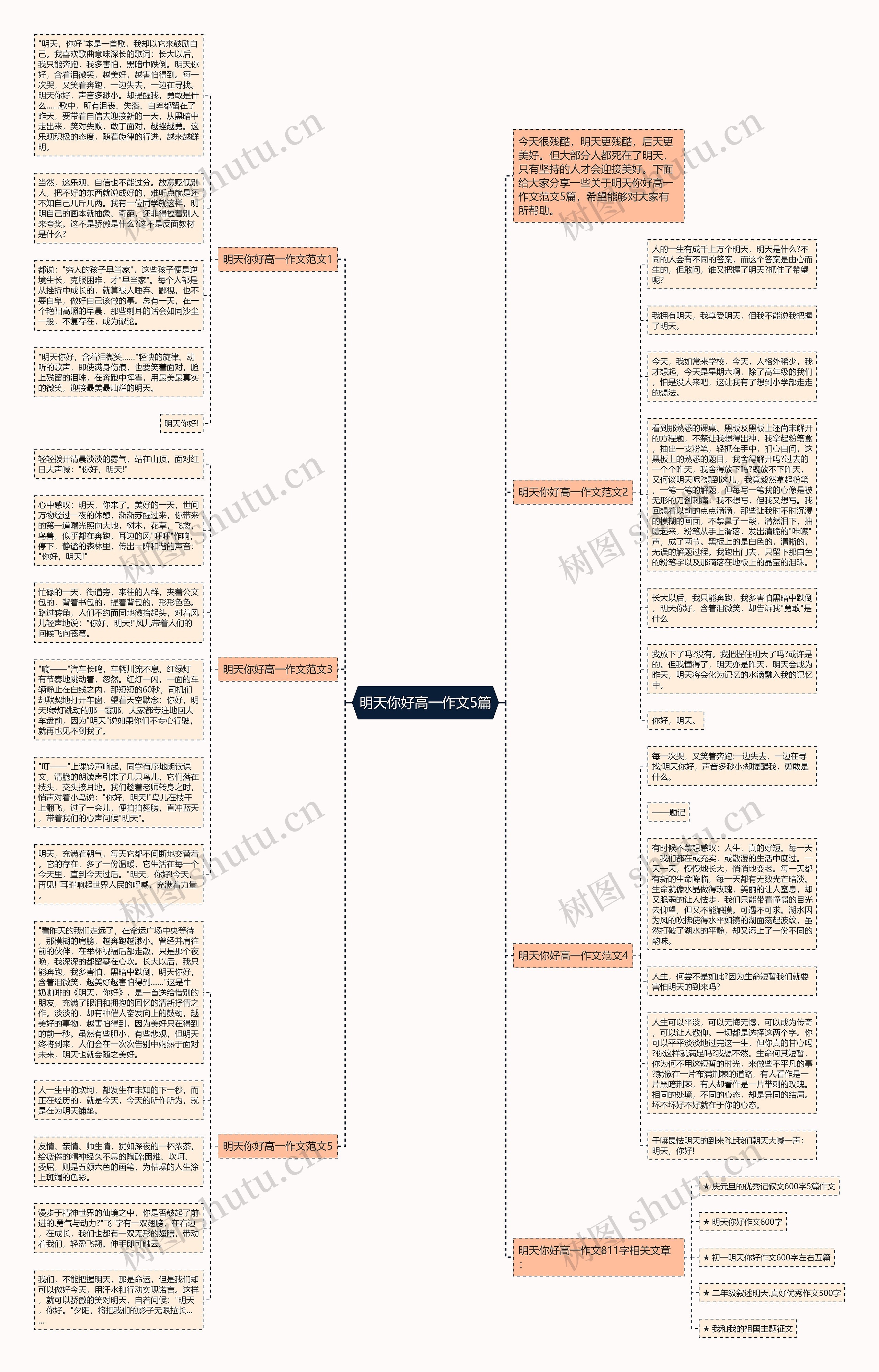 明天你好高一作文5篇思维导图