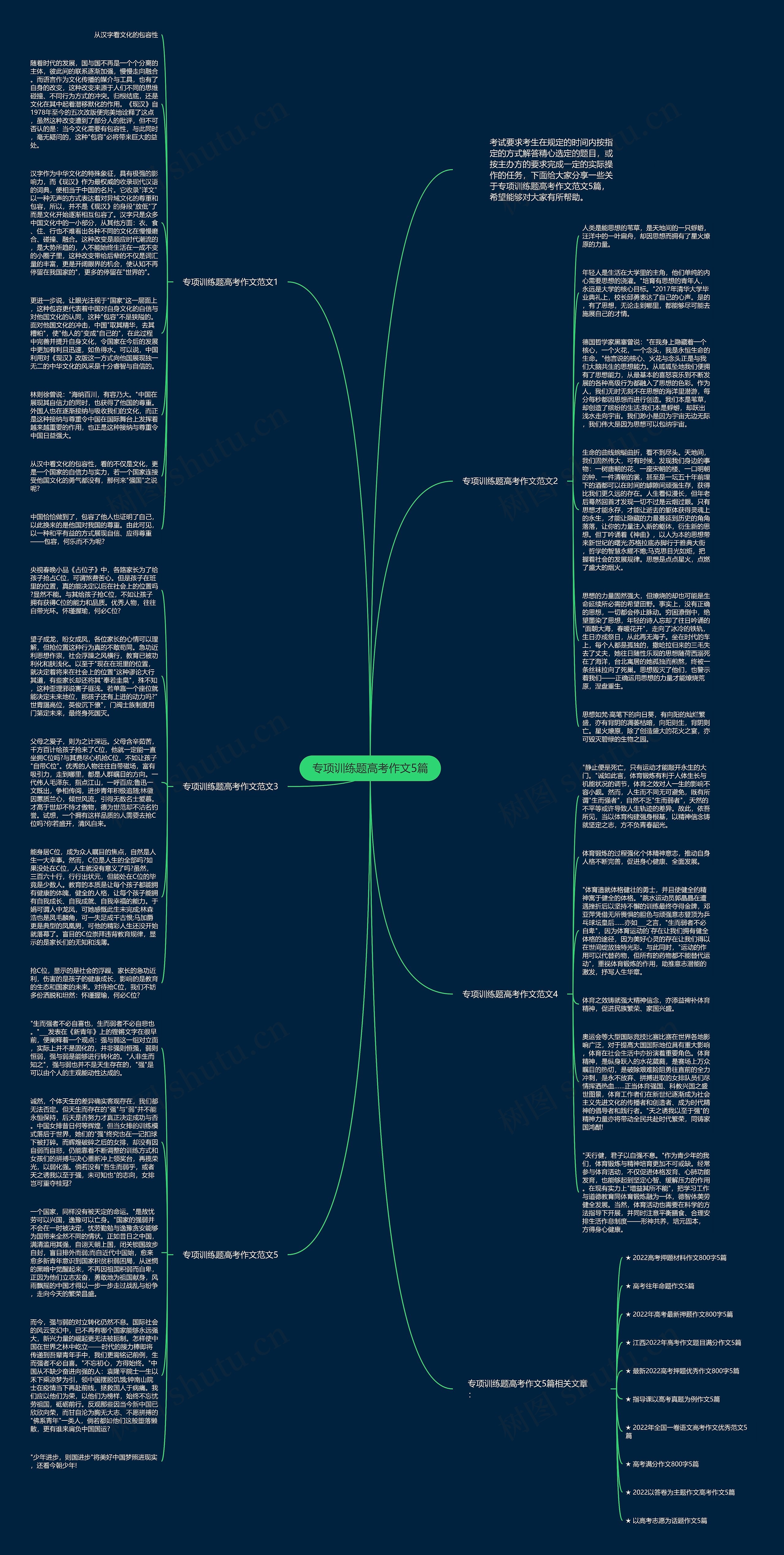 专项训练题高考作文5篇思维导图
