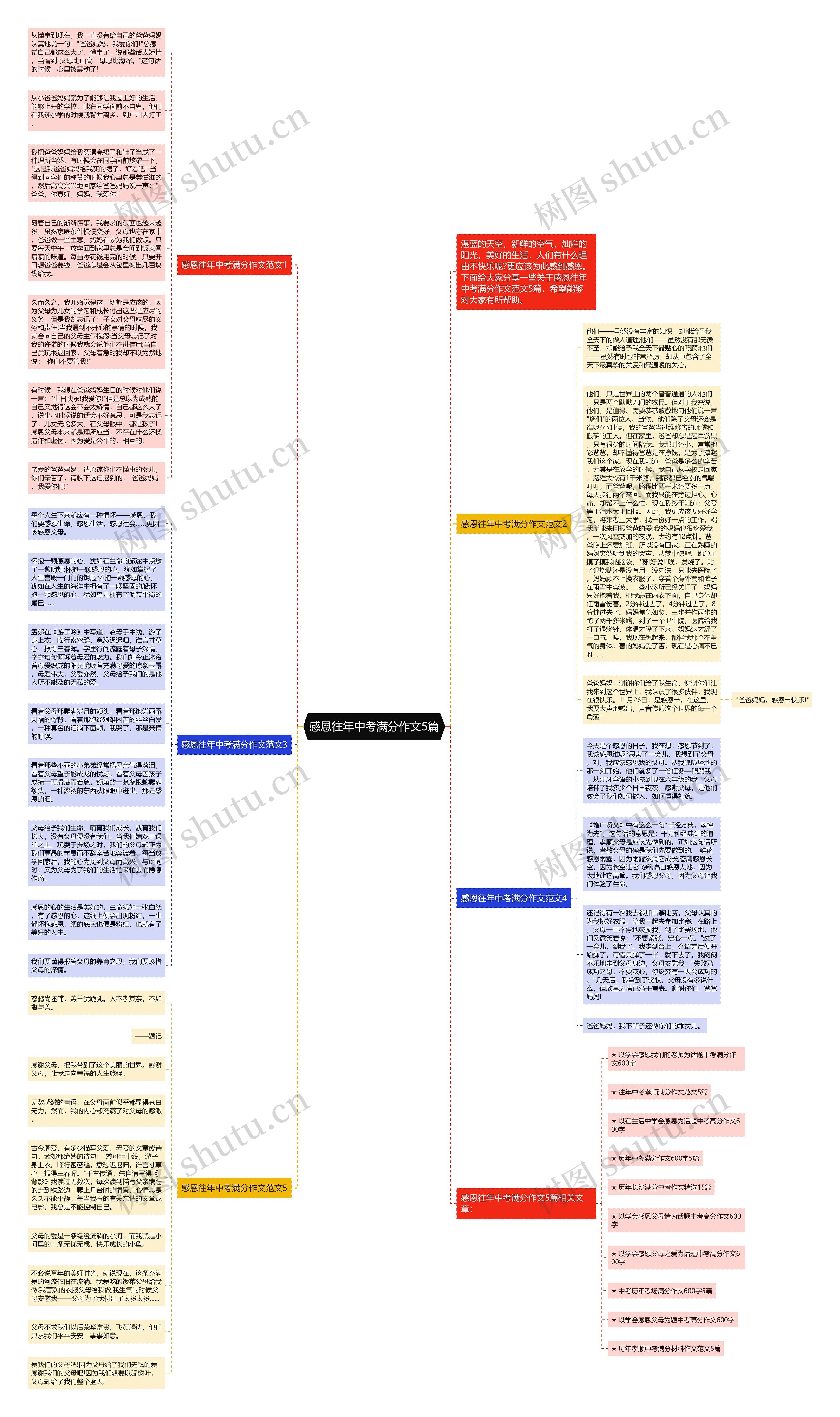 感恩往年中考满分作文5篇思维导图