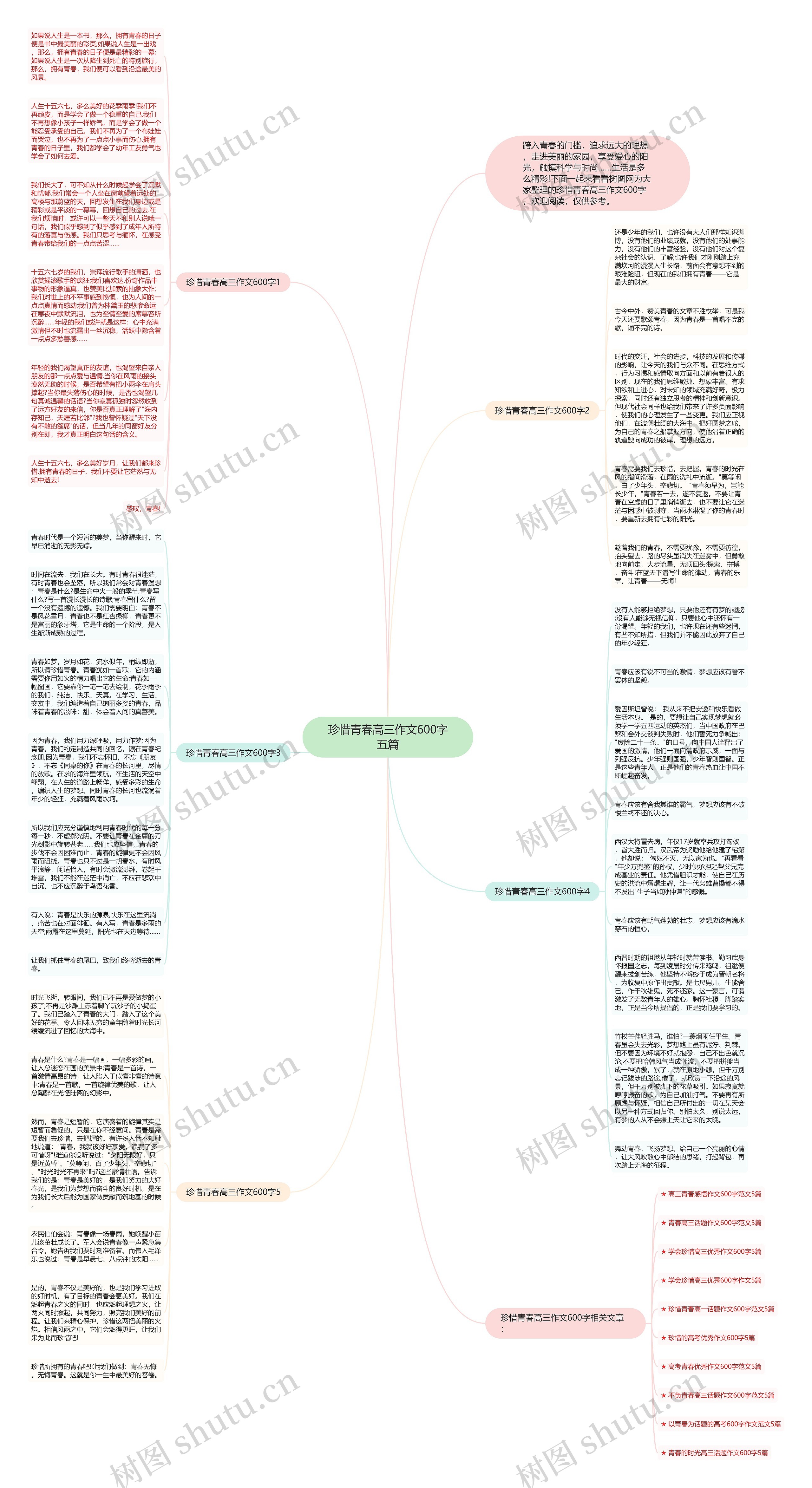 珍惜青春高三作文600字五篇思维导图