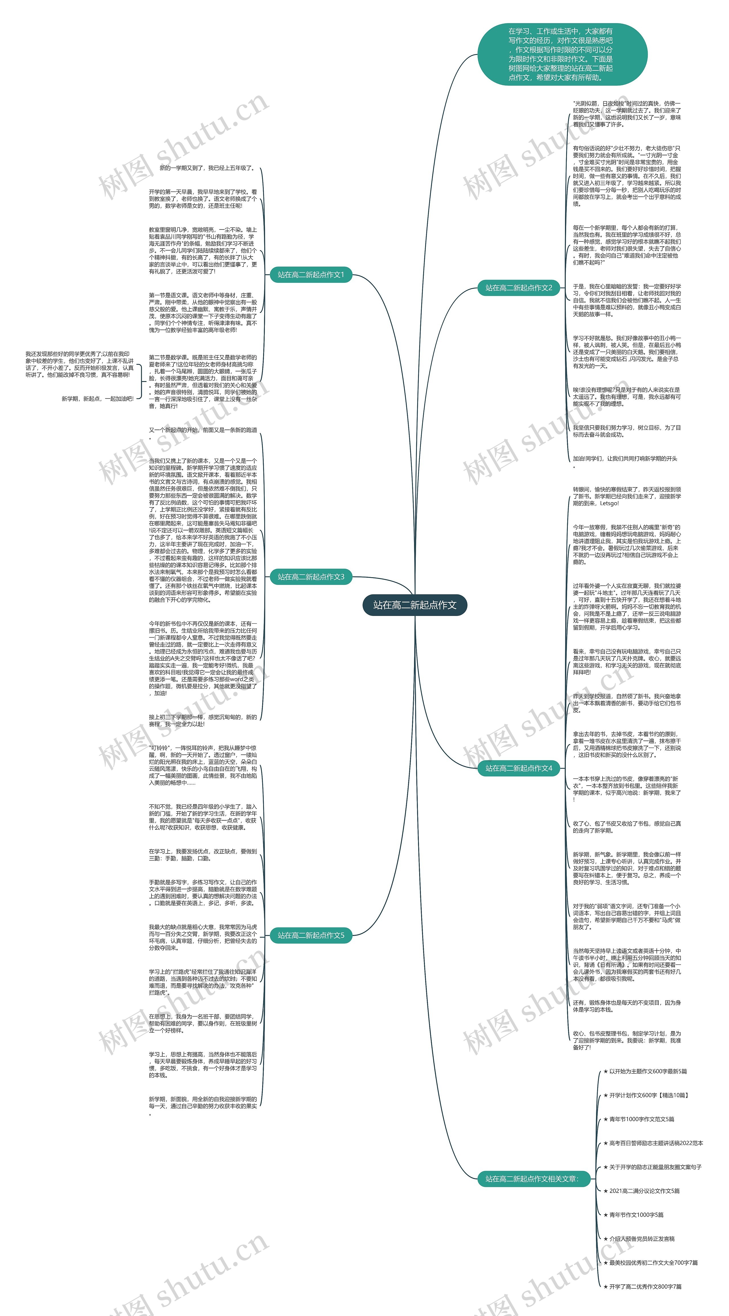 站在高二新起点作文思维导图