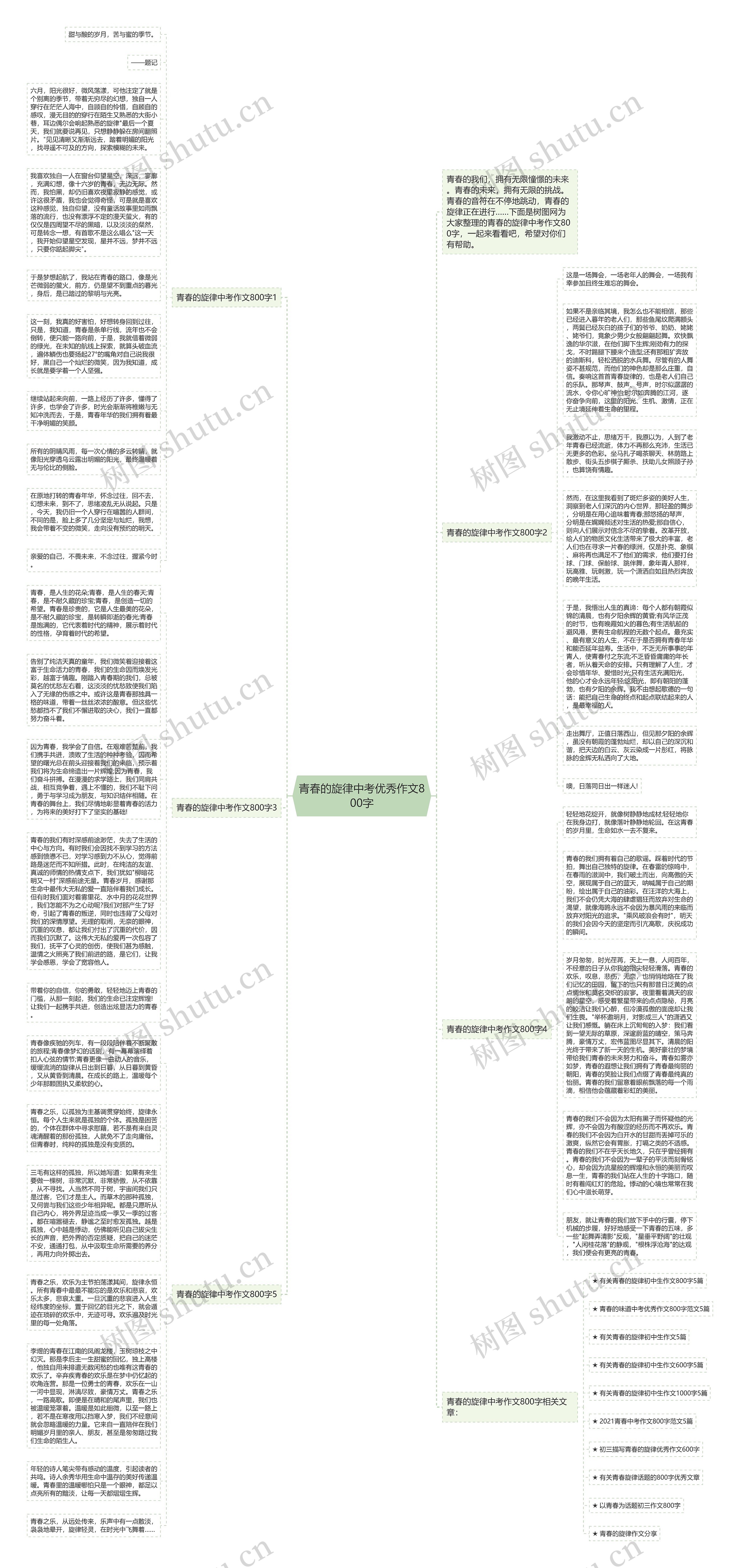 青春的旋律中考优秀作文800字思维导图