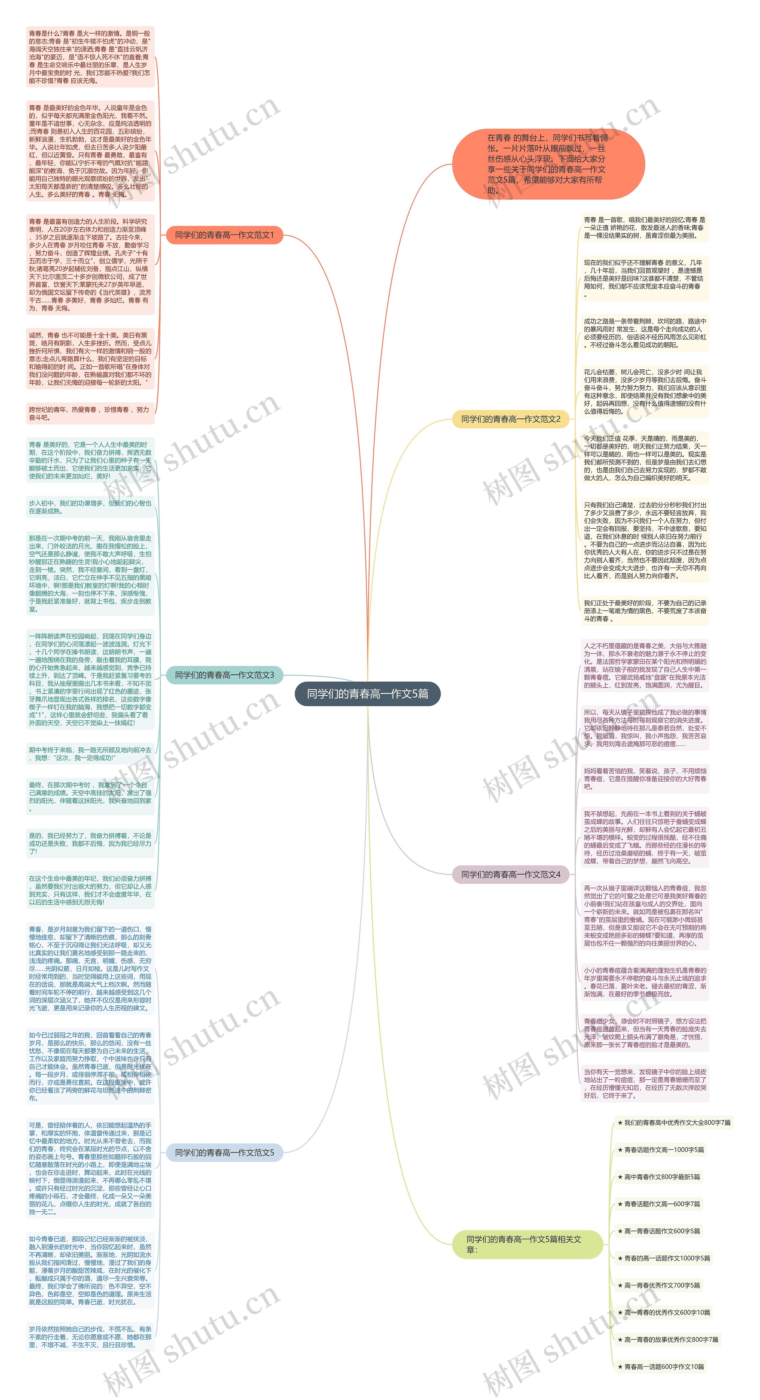 同学们的青春高一作文5篇思维导图