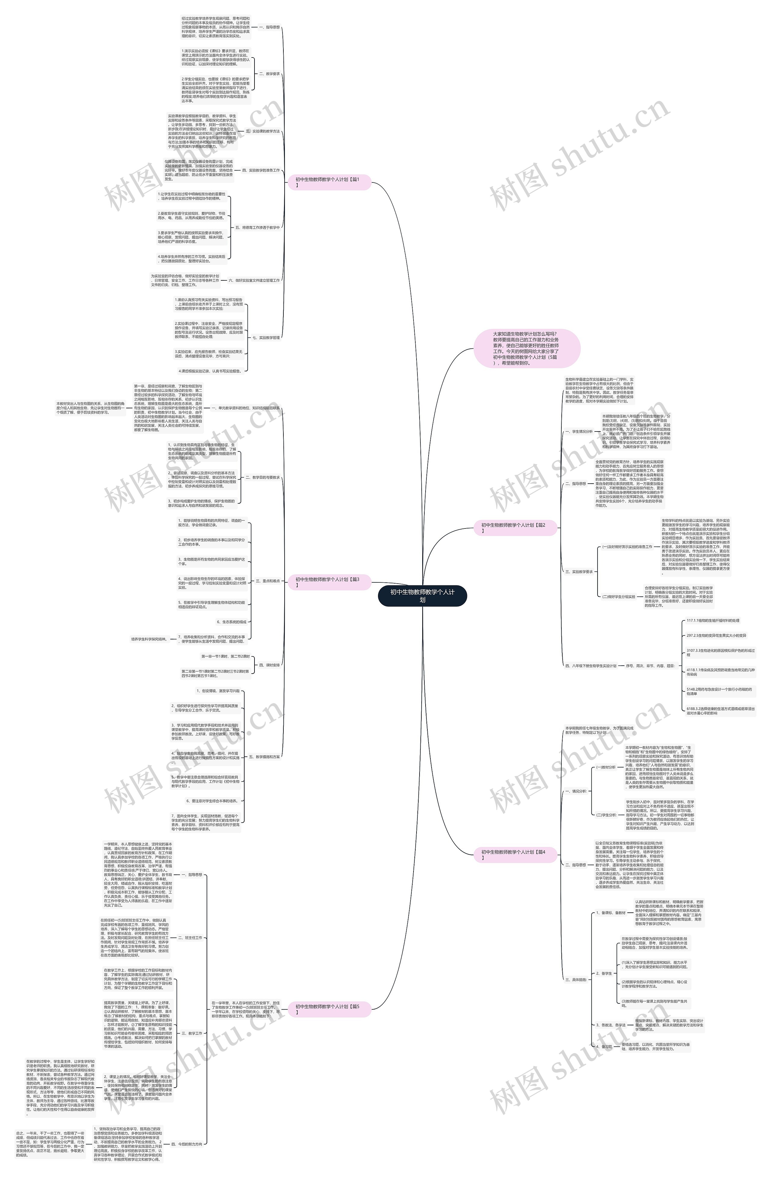 初中生物教师教学个人计划思维导图