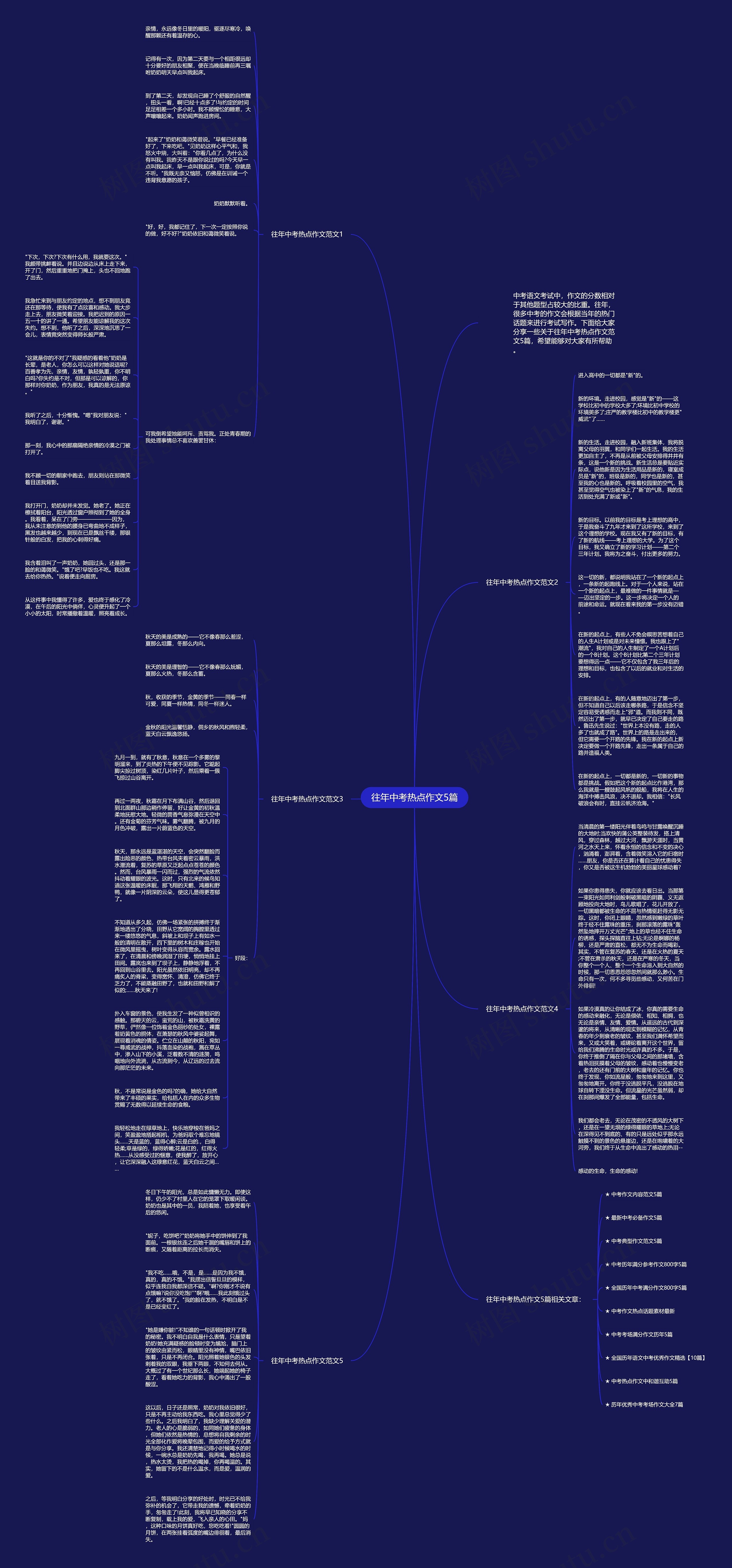 往年中考热点作文5篇思维导图