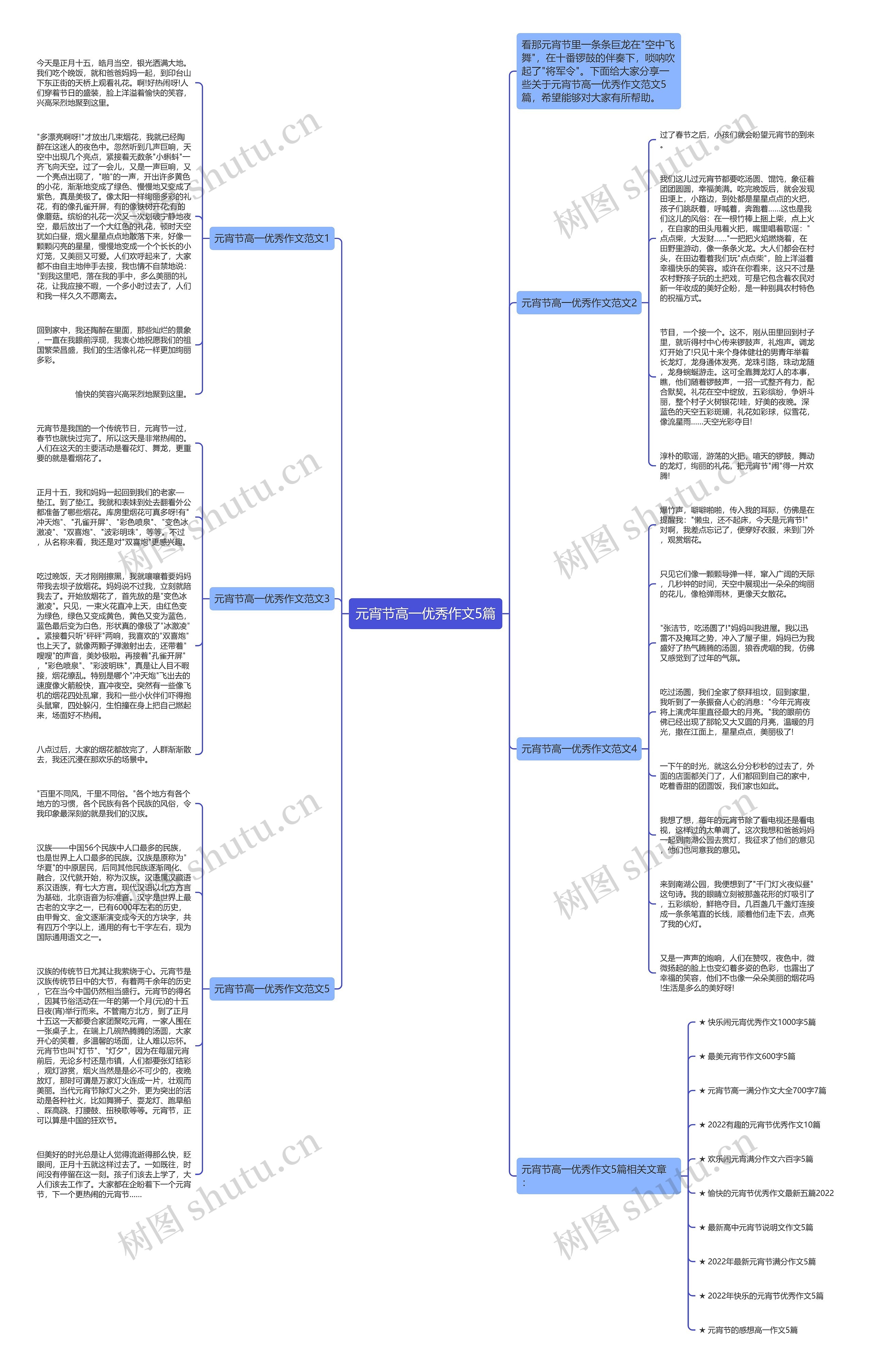 元宵节高一优秀作文5篇思维导图