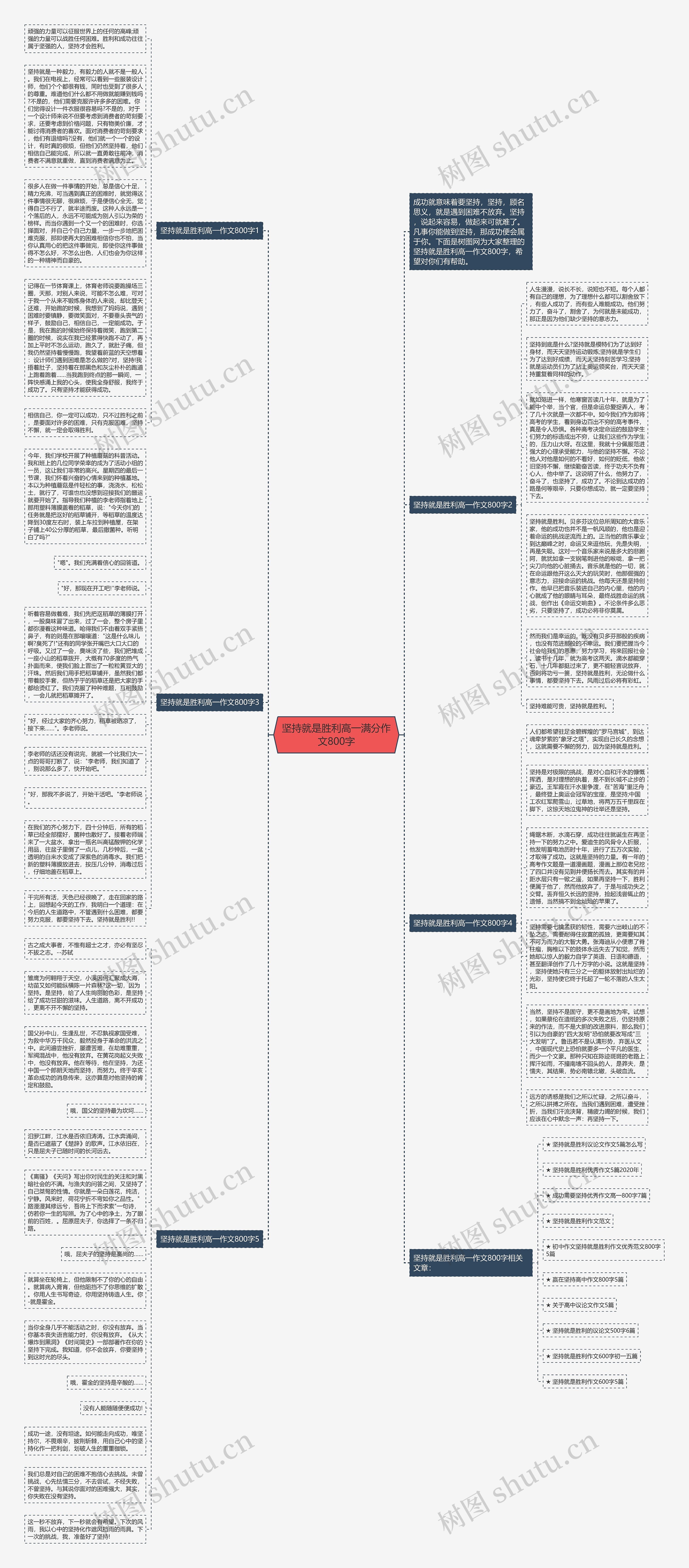 坚持就是胜利高一满分作文800字思维导图