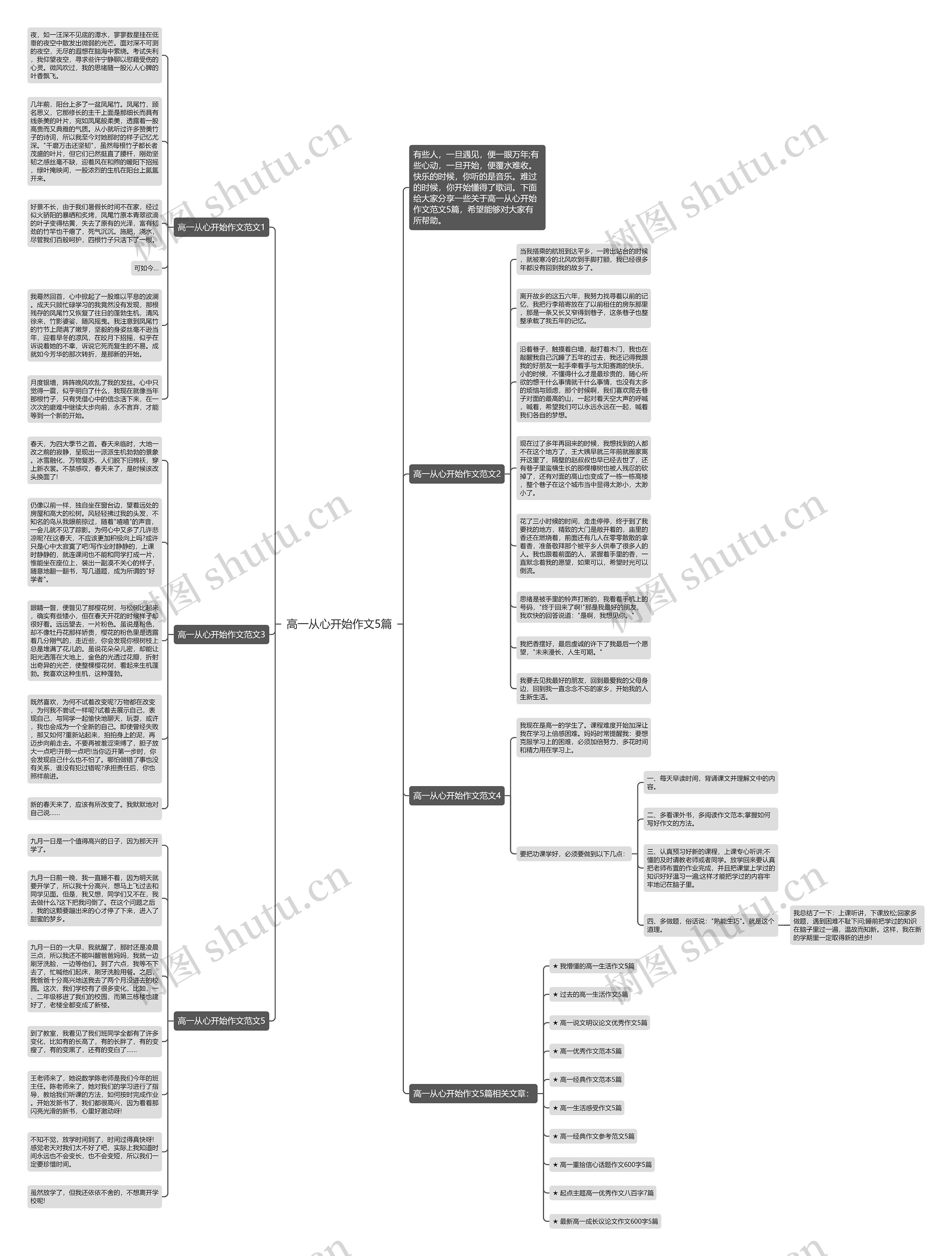 高一从心开始作文5篇思维导图
