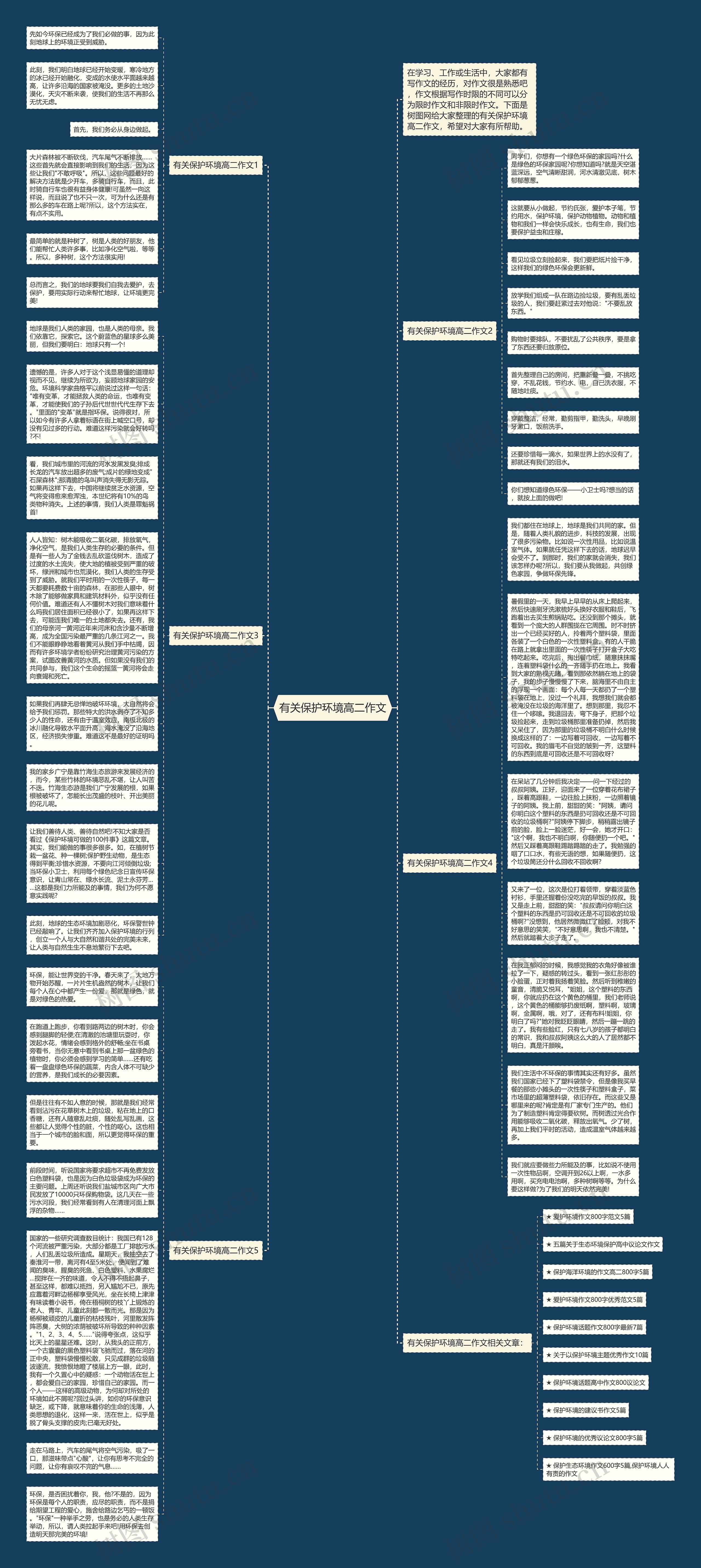 有关保护环境高二作文思维导图