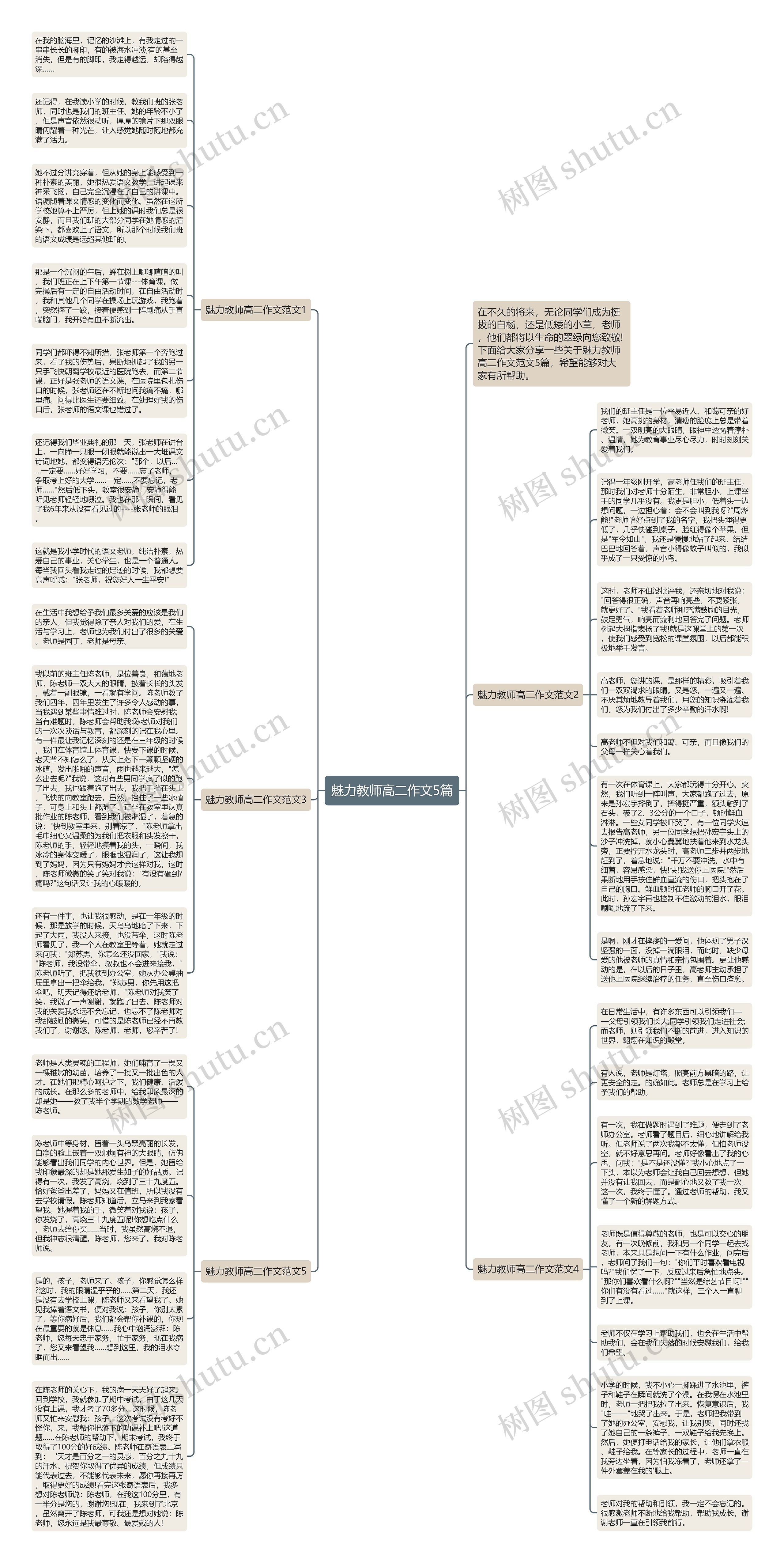 魅力教师高二作文5篇思维导图