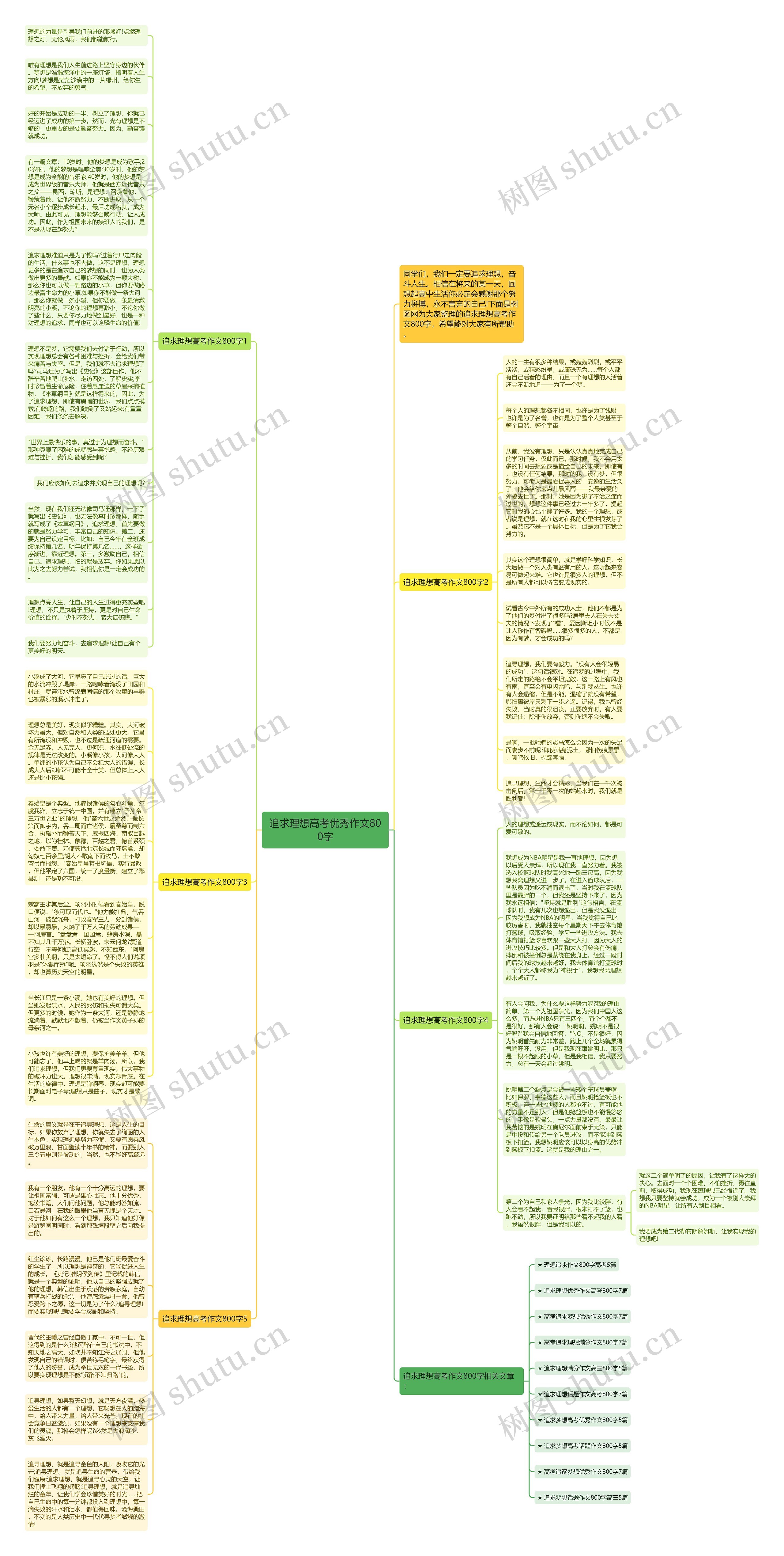 追求理想高考优秀作文800字思维导图