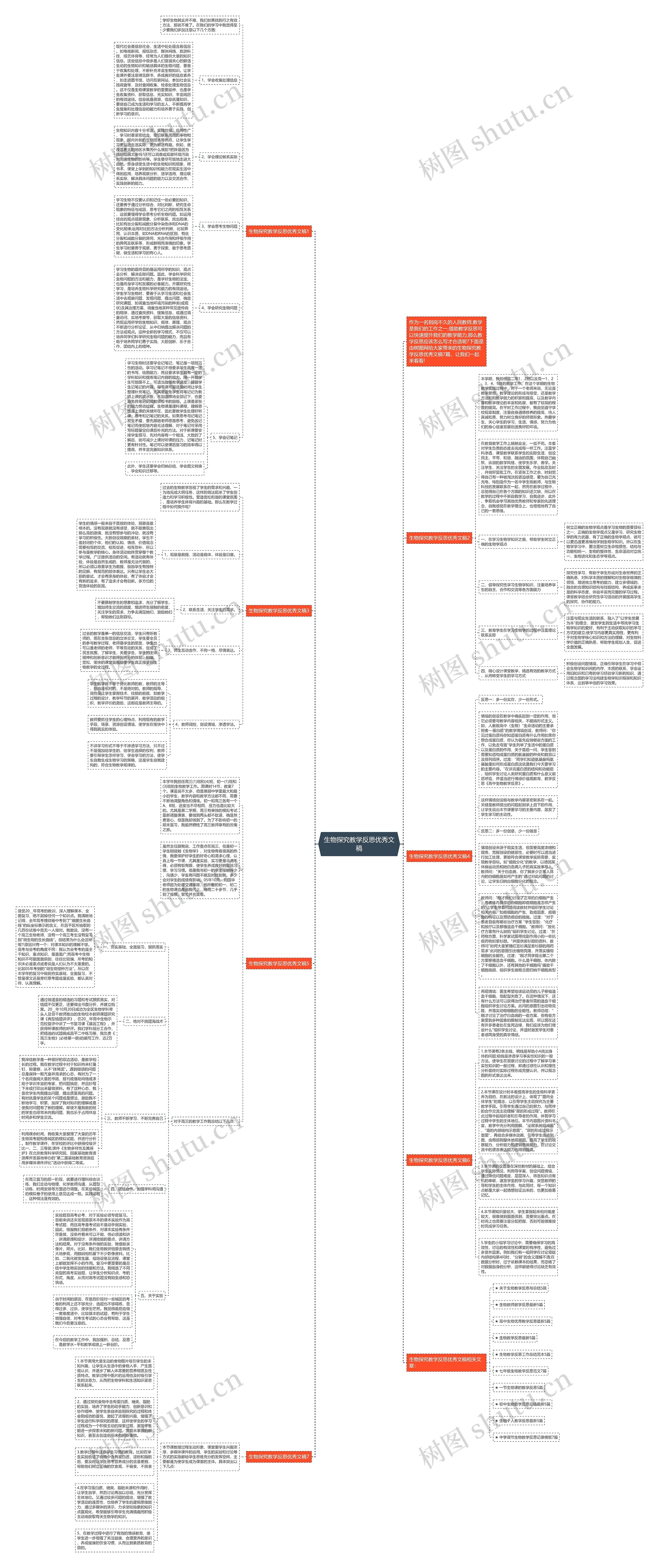 生物探究教学反思优秀文稿思维导图