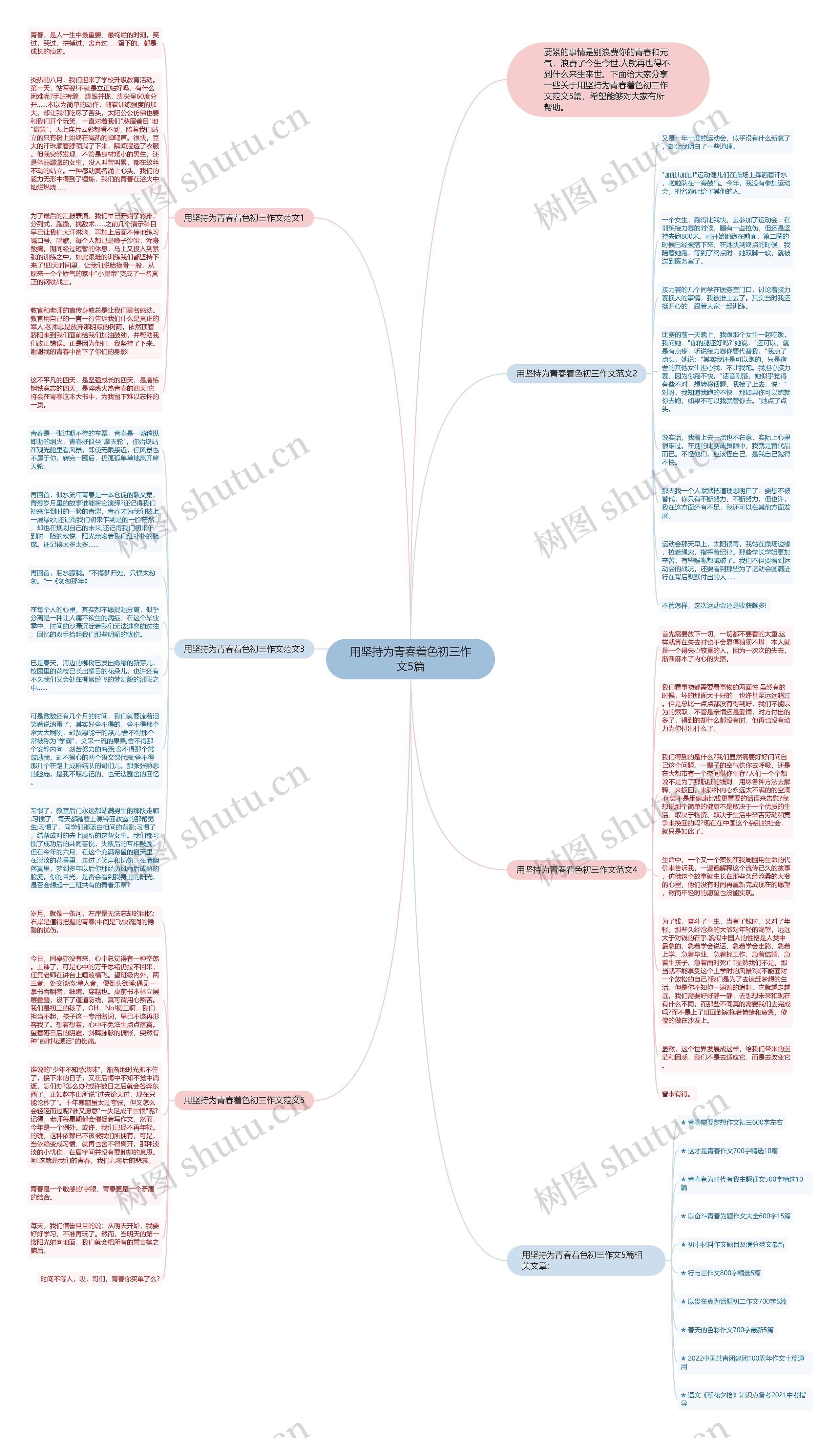 用坚持为青春着色初三作文5篇思维导图