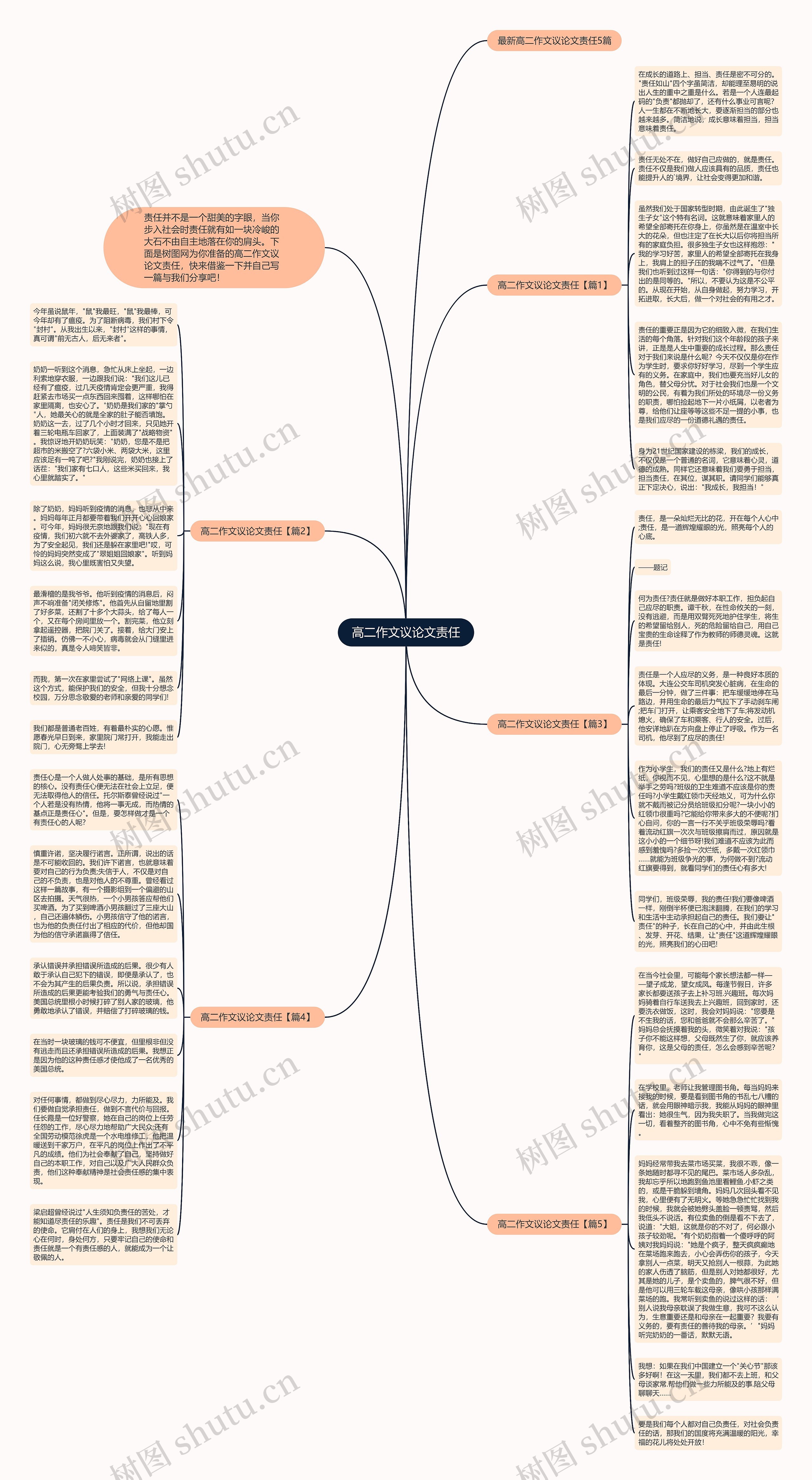 高二作文议论文责任思维导图
