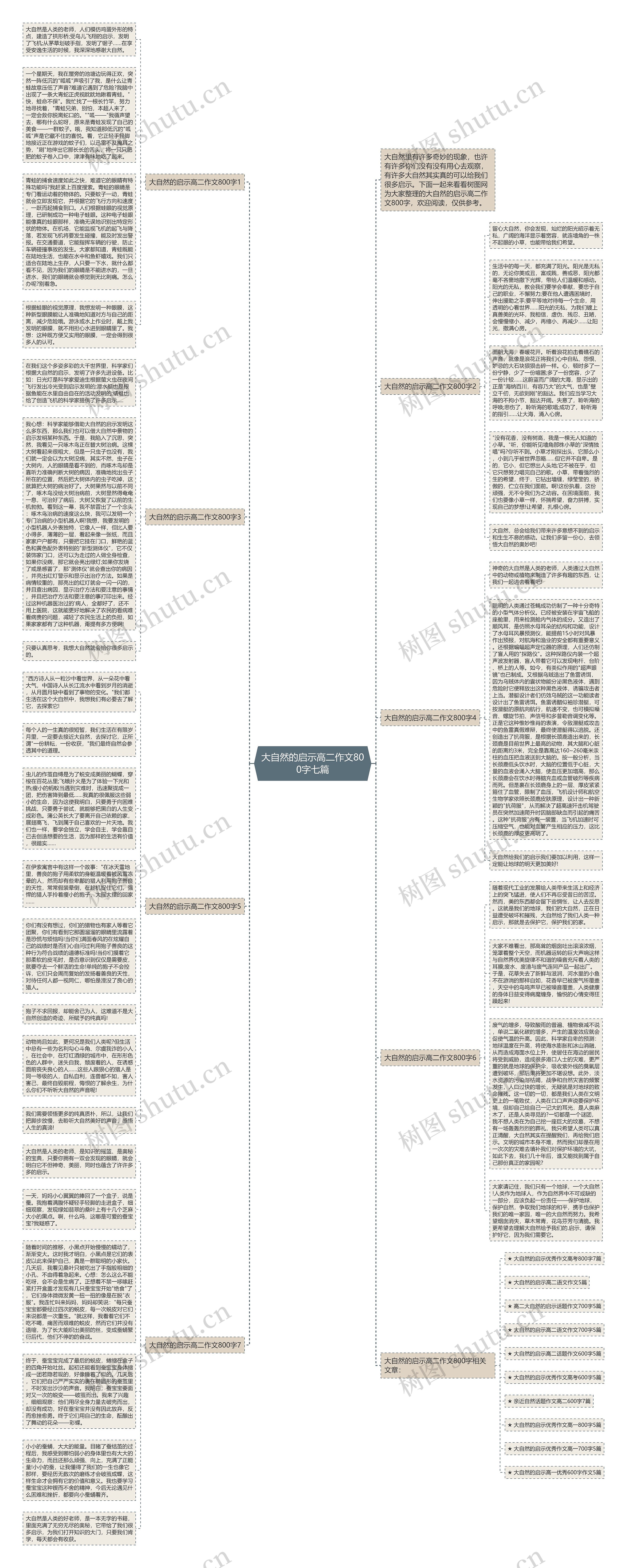 大自然的启示高二作文800字七篇思维导图