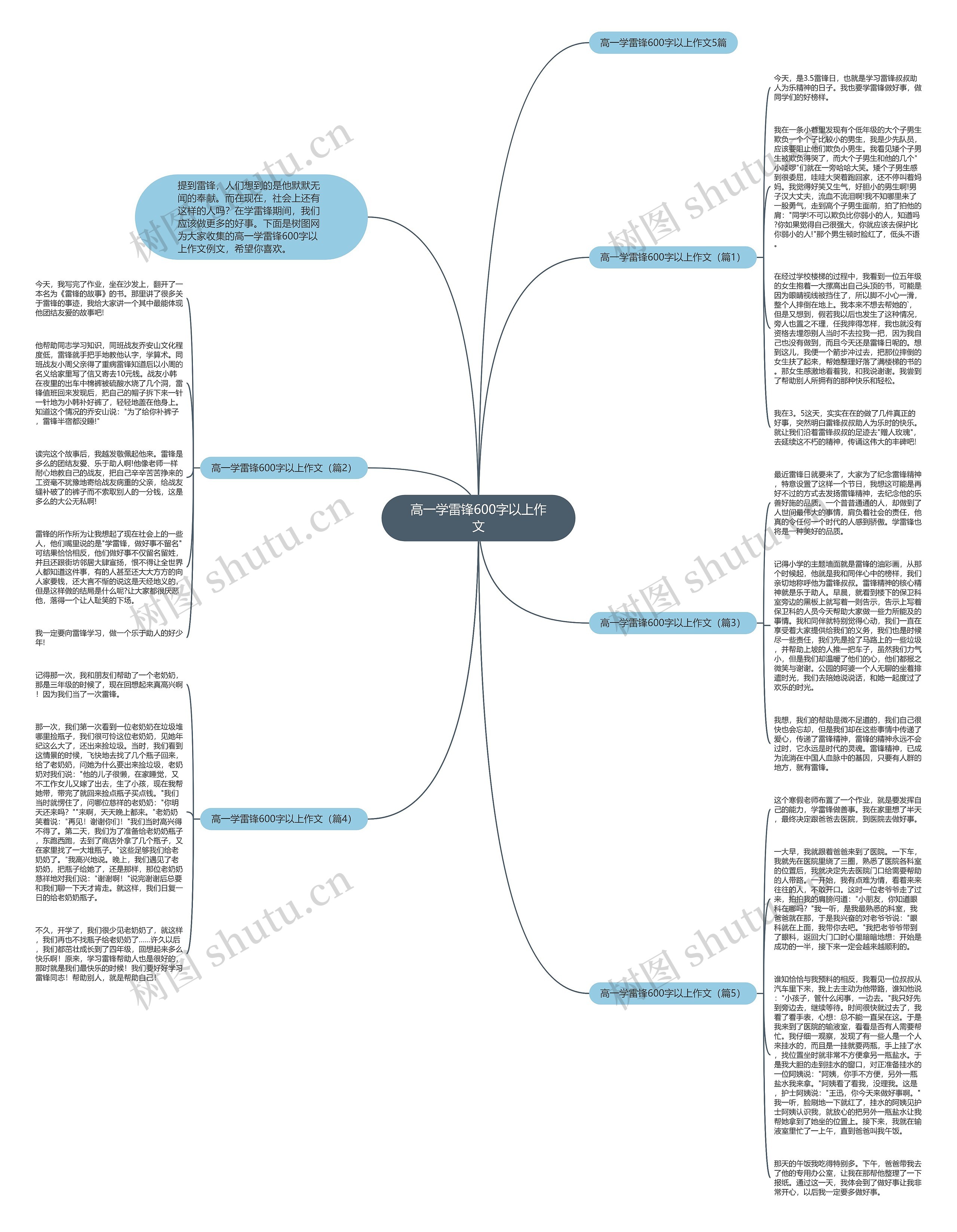 高一学雷锋600字以上作文思维导图