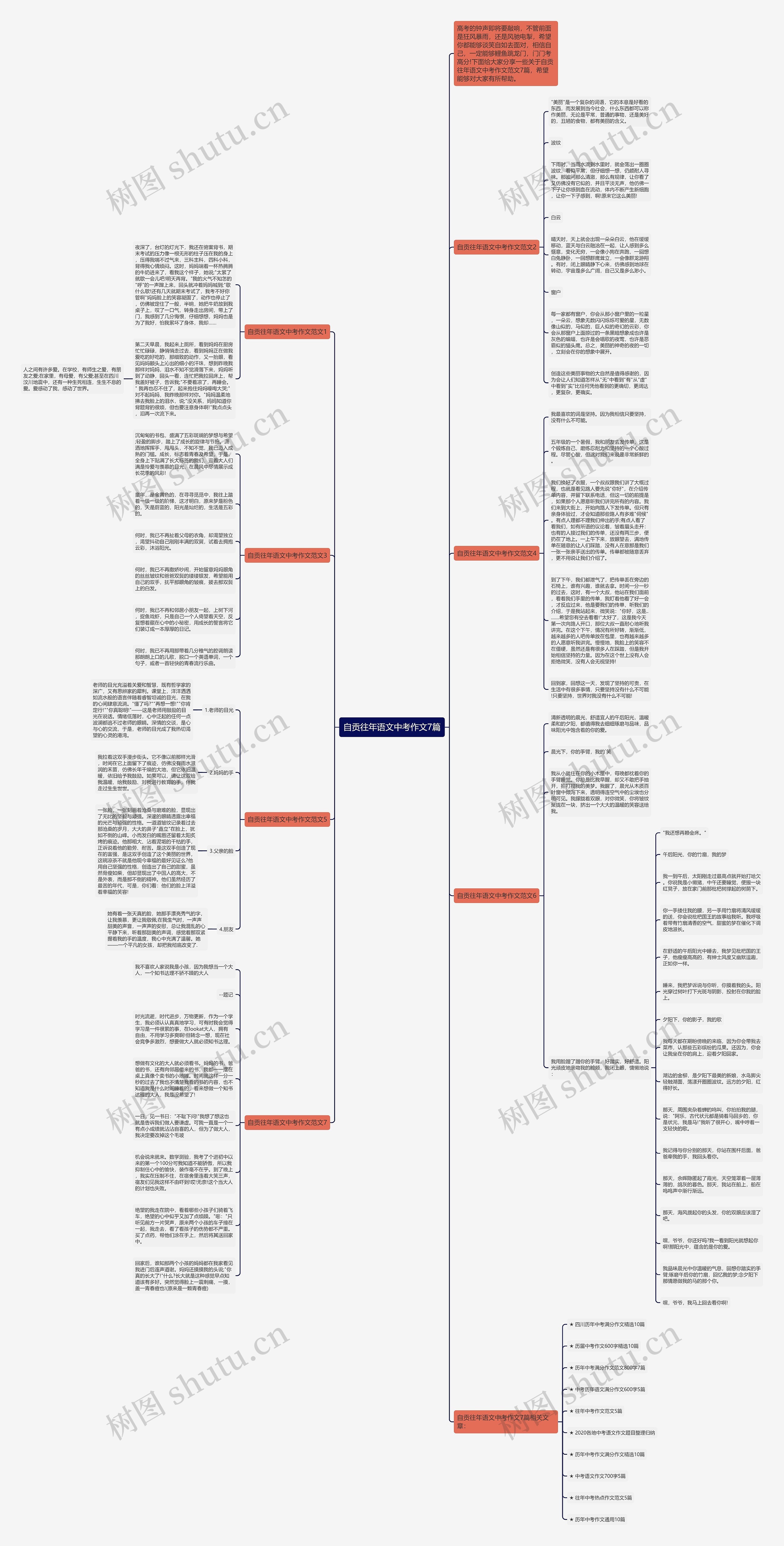 自贡往年语文中考作文7篇思维导图
