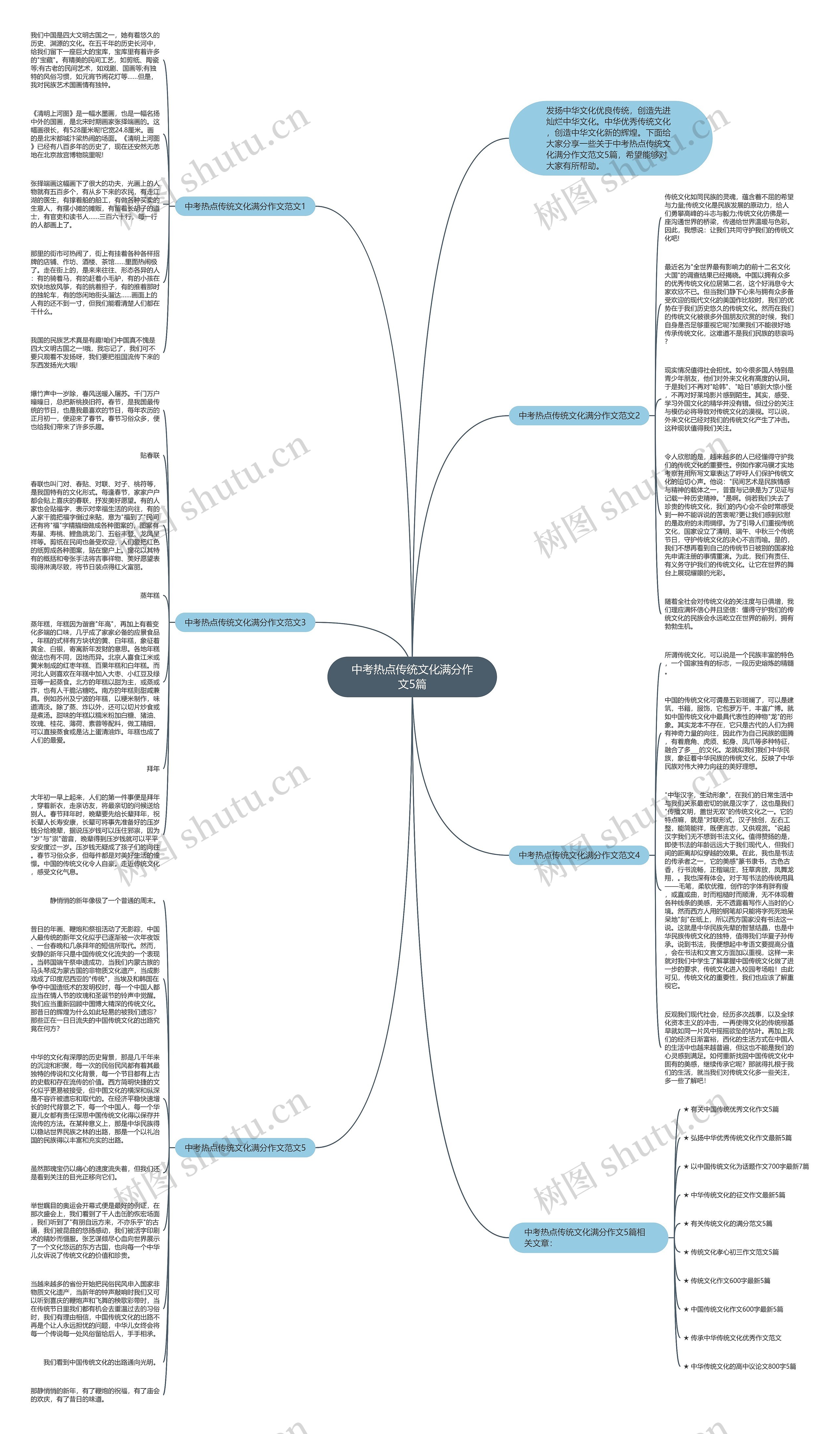 中考热点传统文化满分作文5篇思维导图