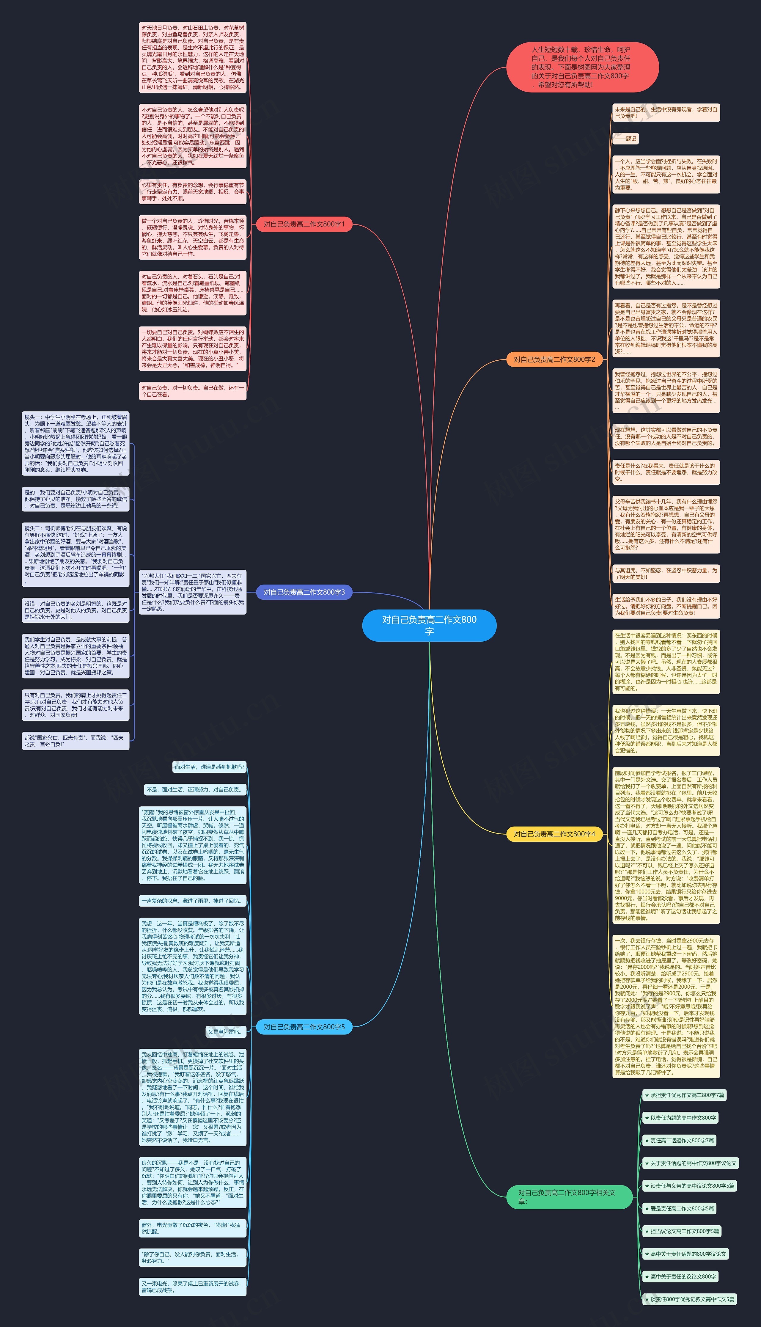 对自己负责高二作文800字思维导图