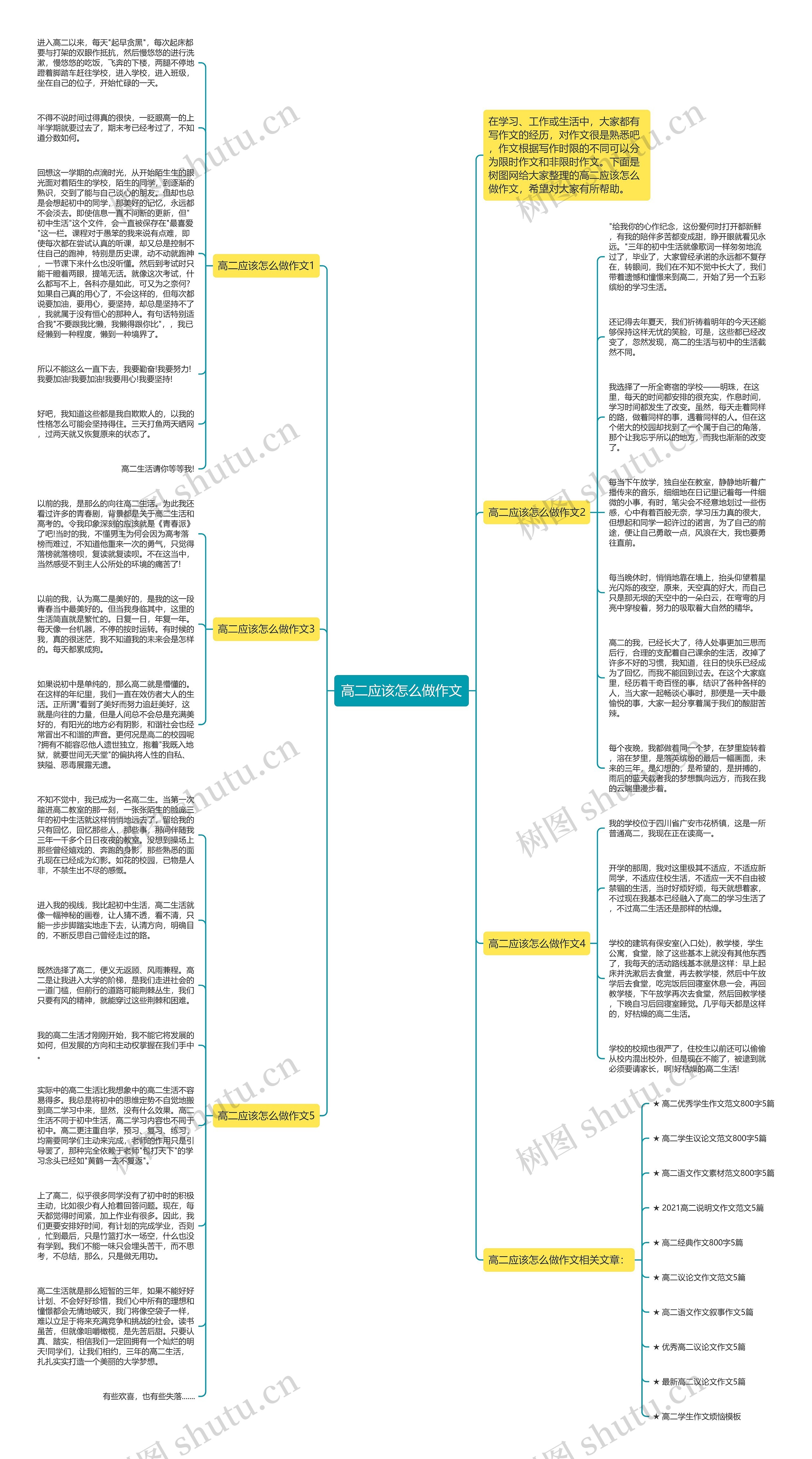高二应该怎么做作文思维导图