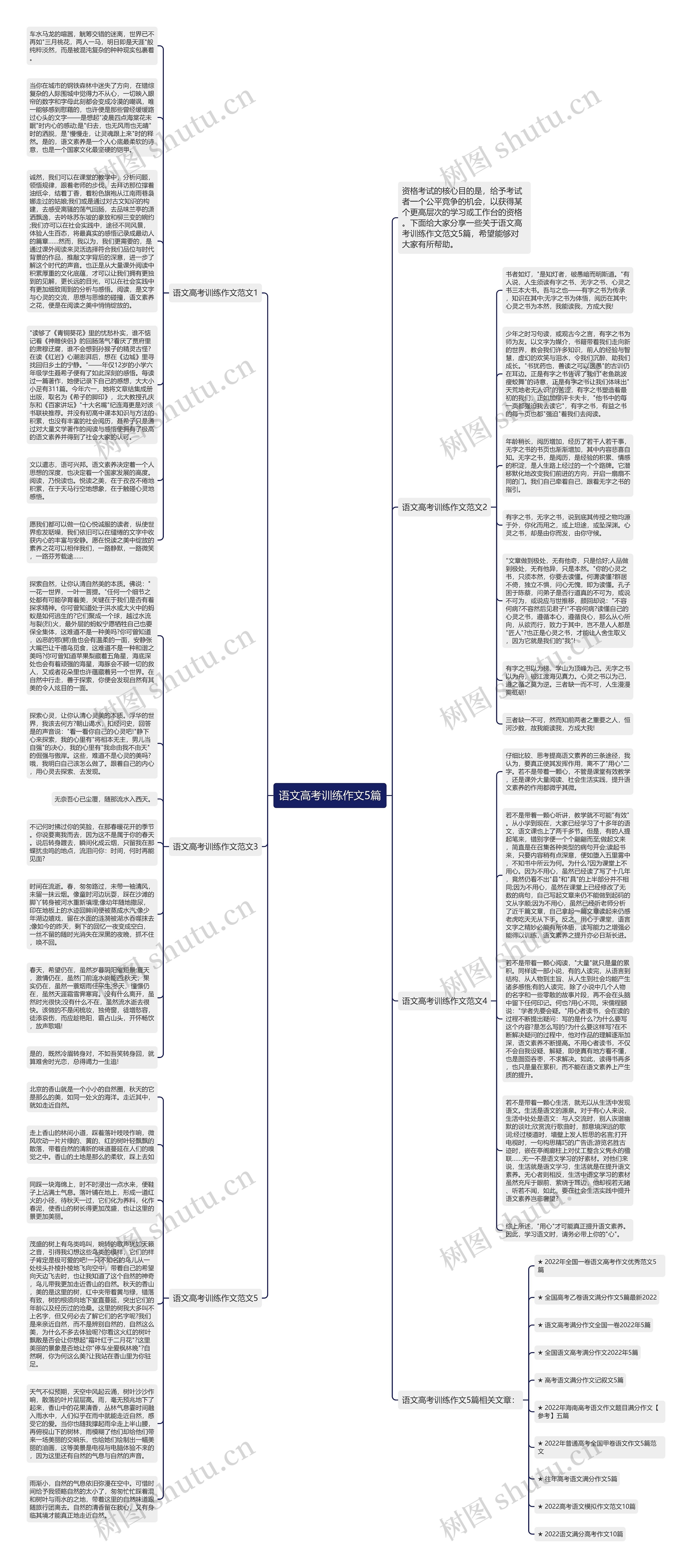语文高考训练作文5篇思维导图