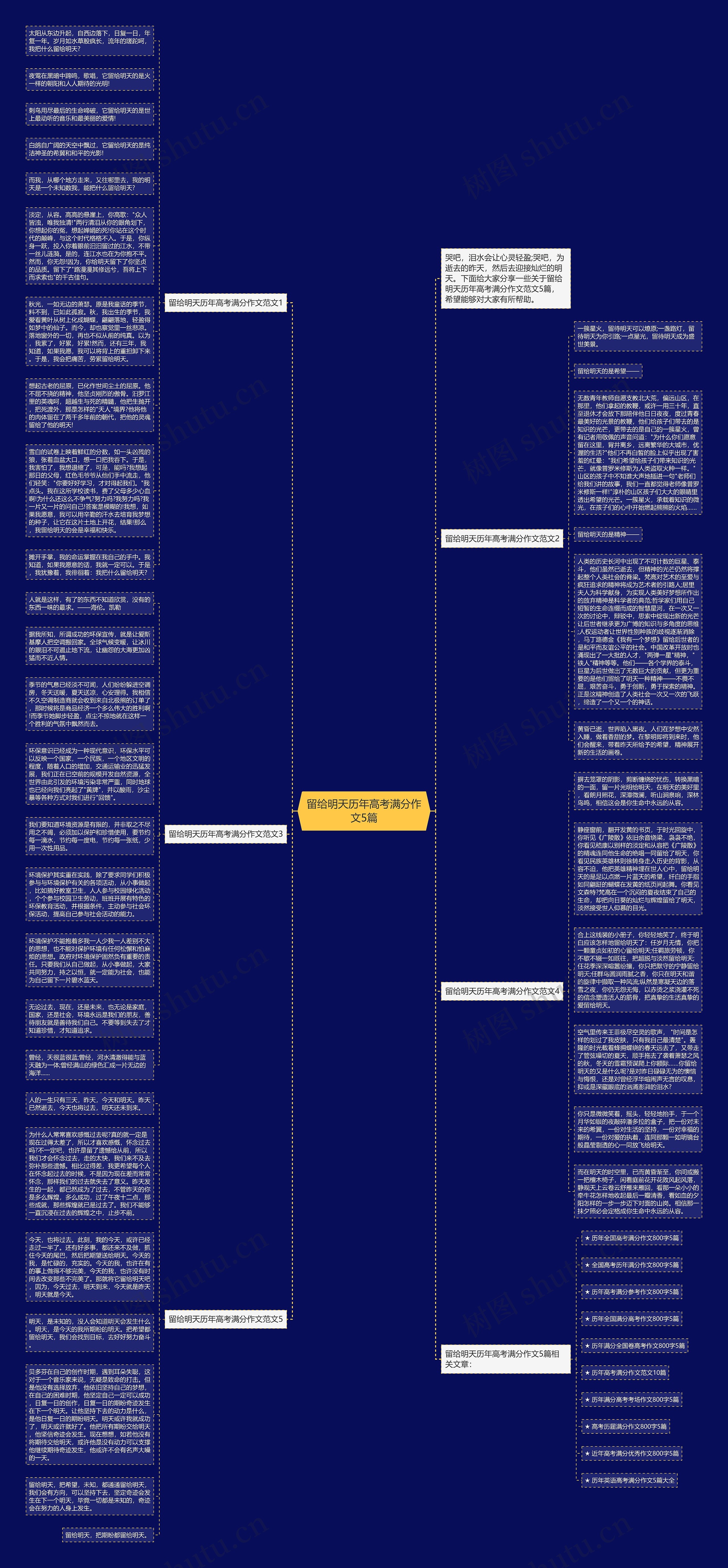 留给明天历年高考满分作文5篇思维导图