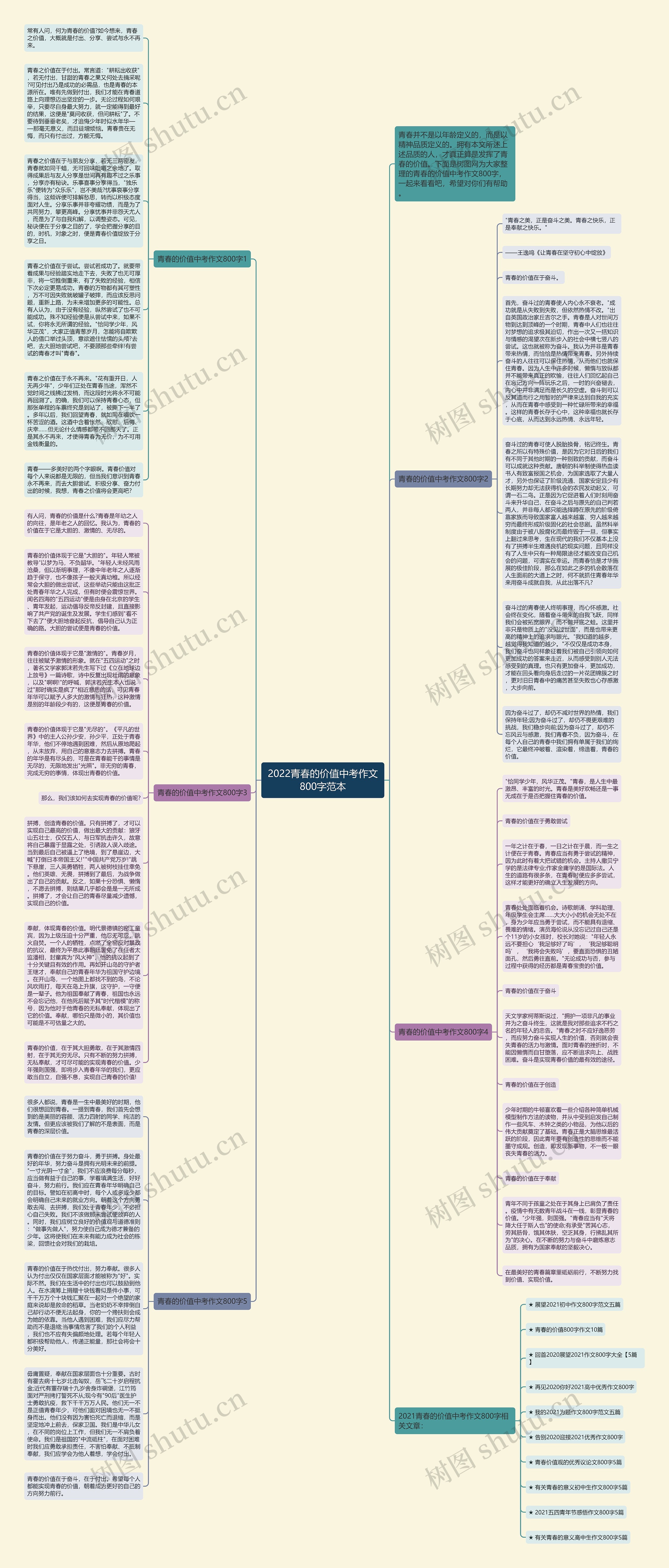 2022青春的价值中考作文800字范本思维导图