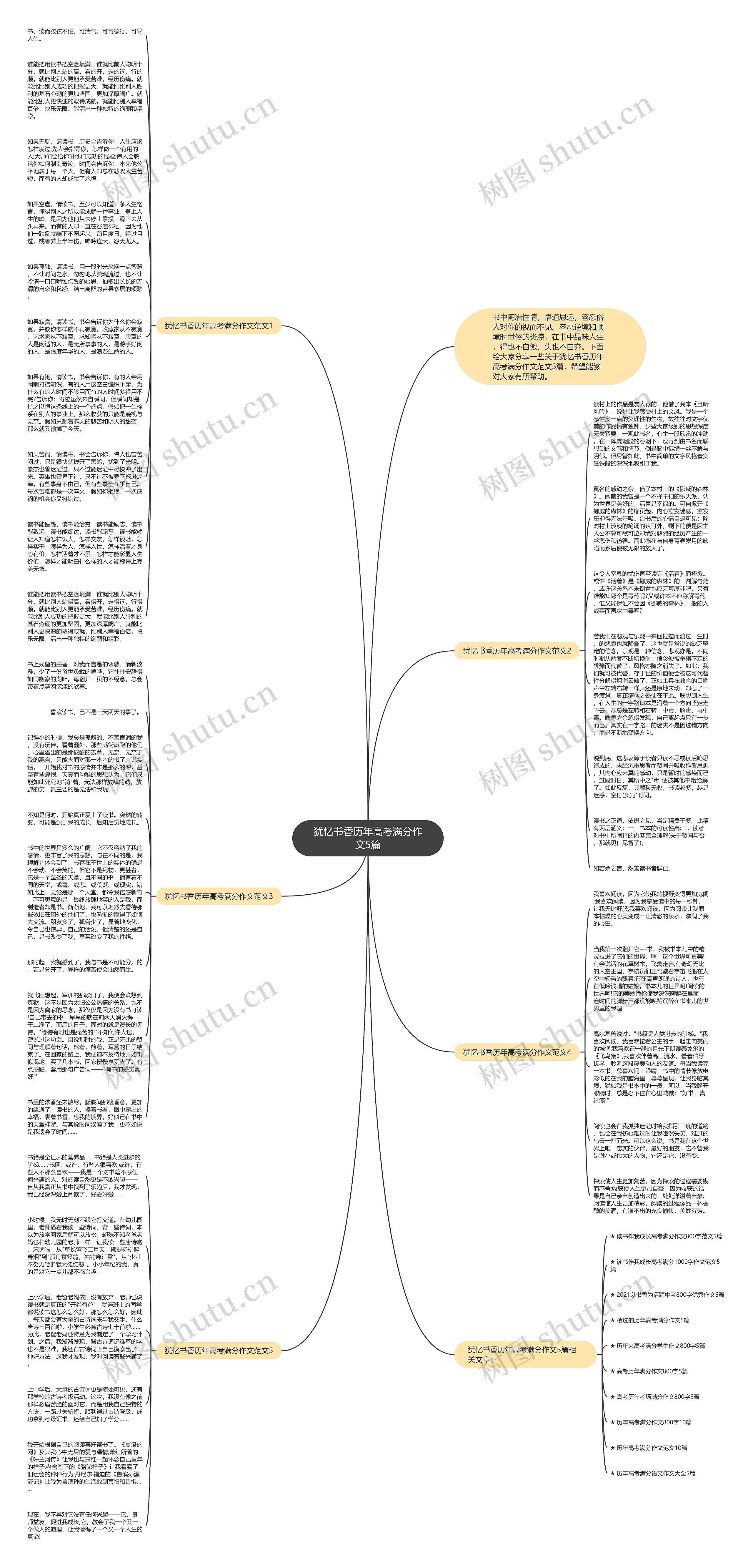 犹忆书香历年高考满分作文5篇思维导图