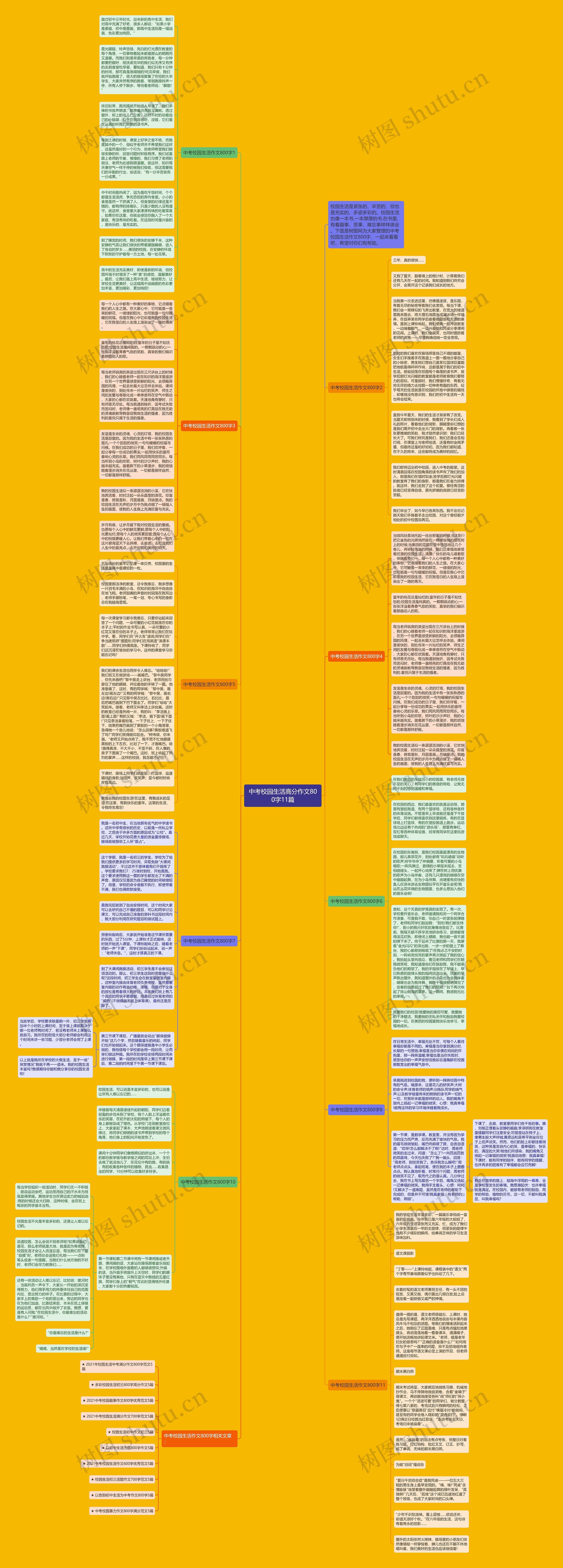 中考校园生活高分作文800字11篇