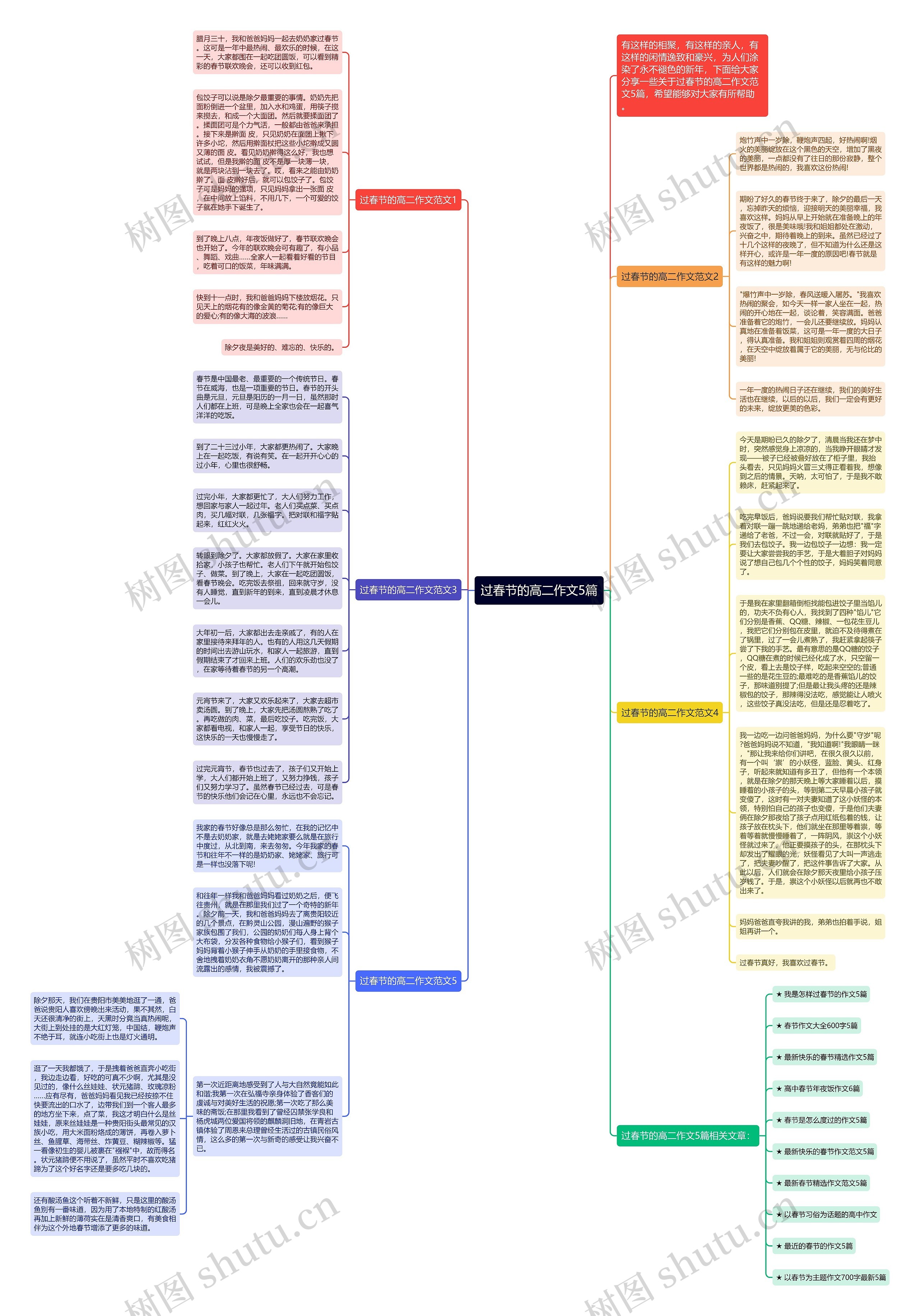 过春节的高二作文5篇思维导图