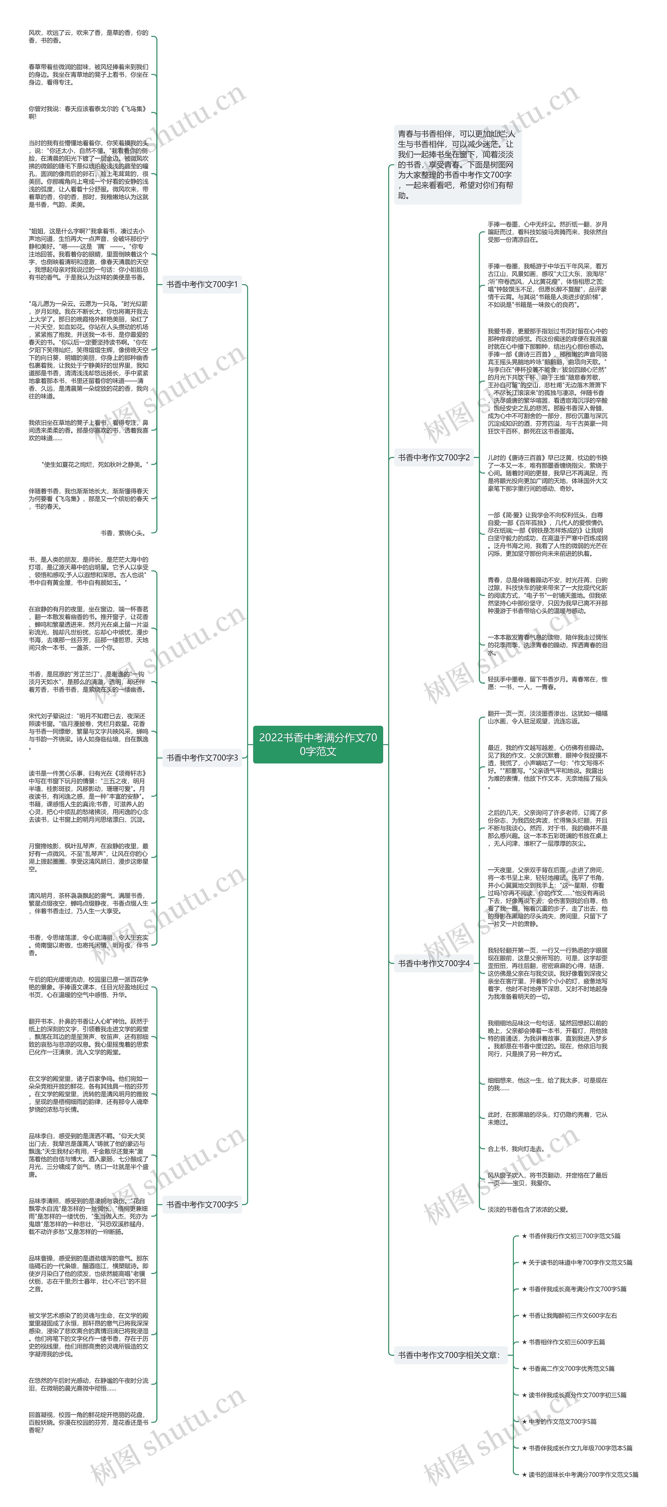 2022书香中考满分作文700字范文