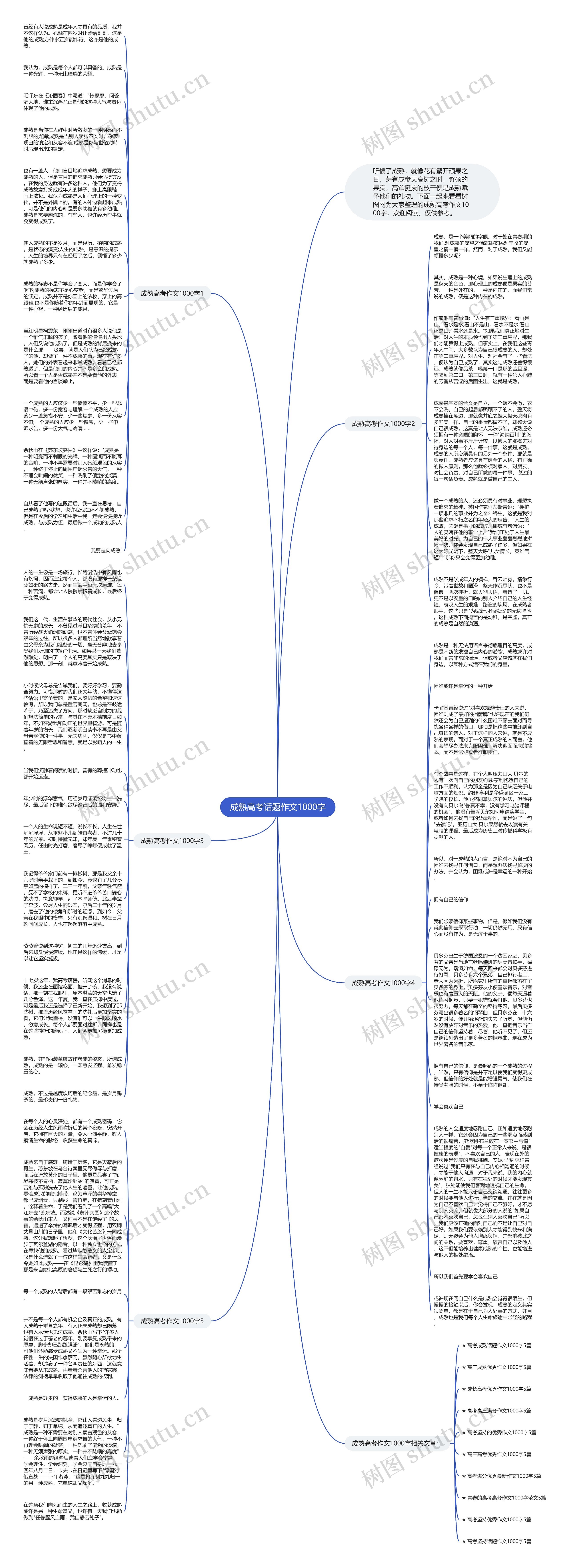 成熟高考话题作文1000字思维导图