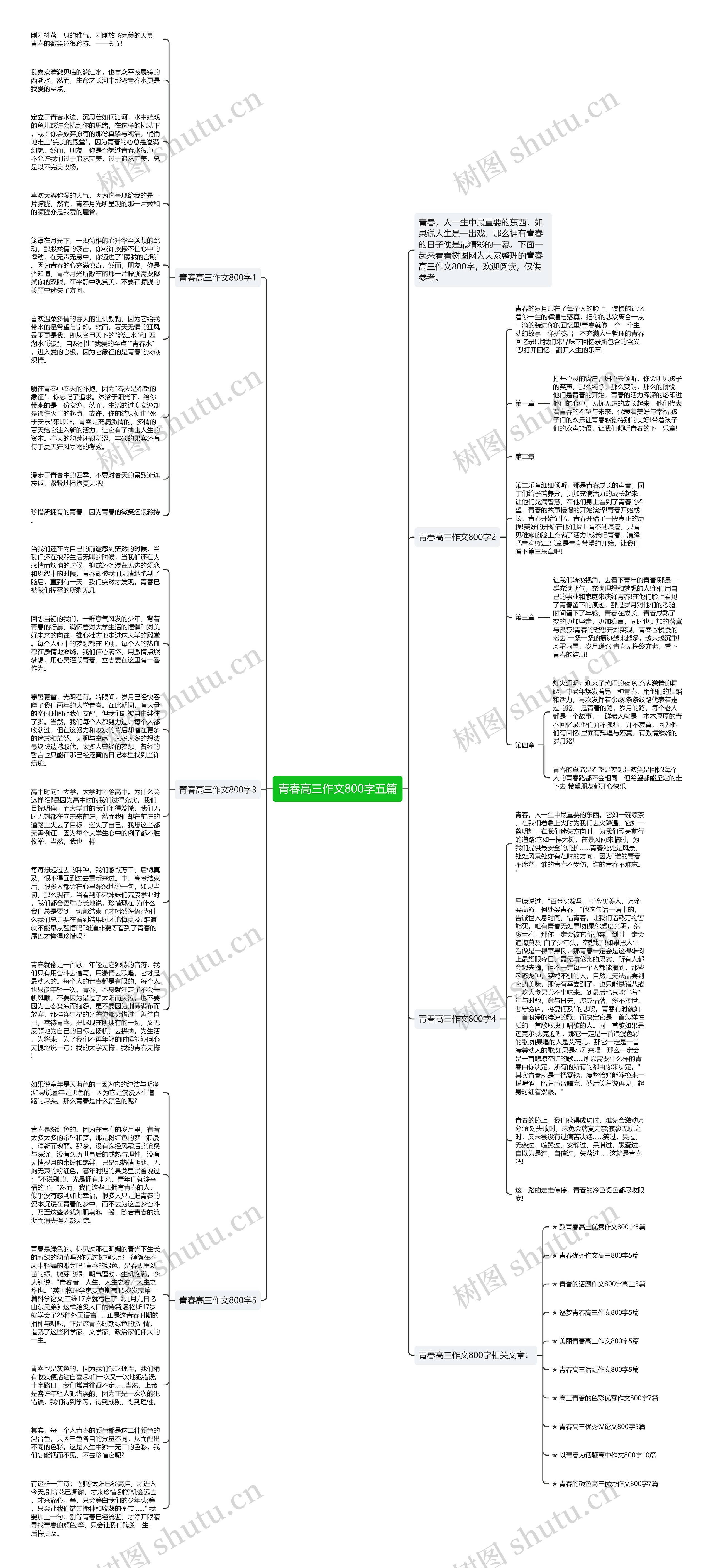 青春高三作文800字五篇思维导图