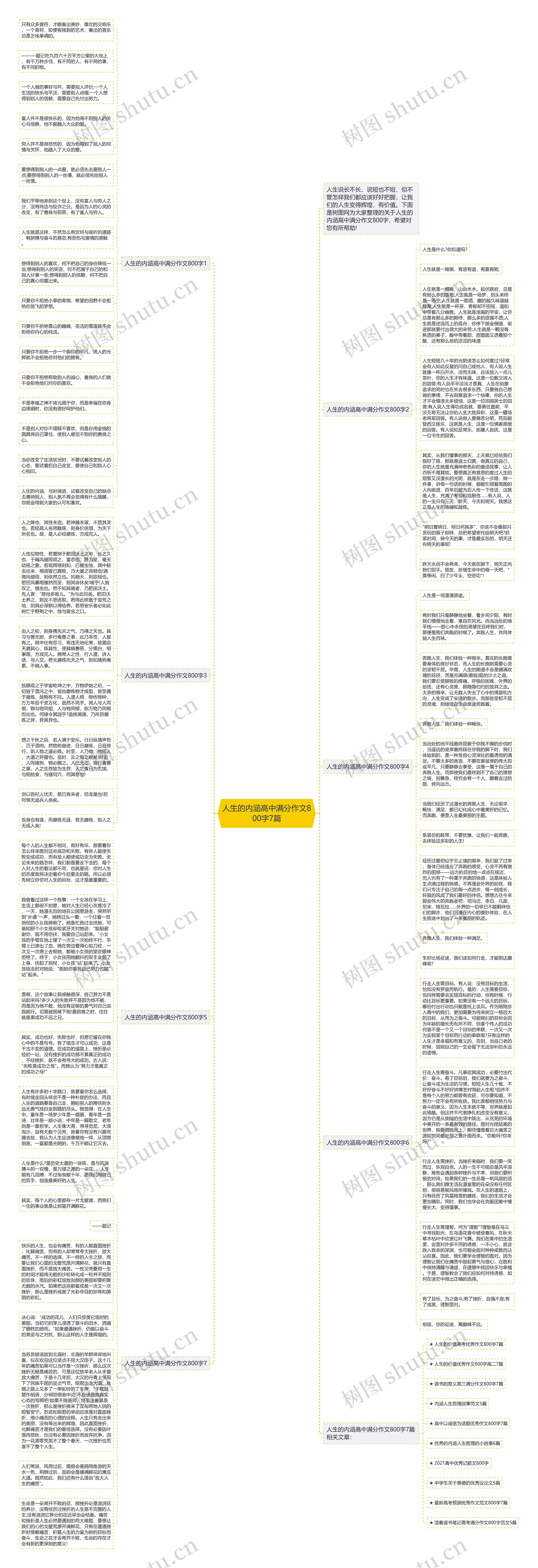 人生的内涵高中满分作文800字7篇思维导图