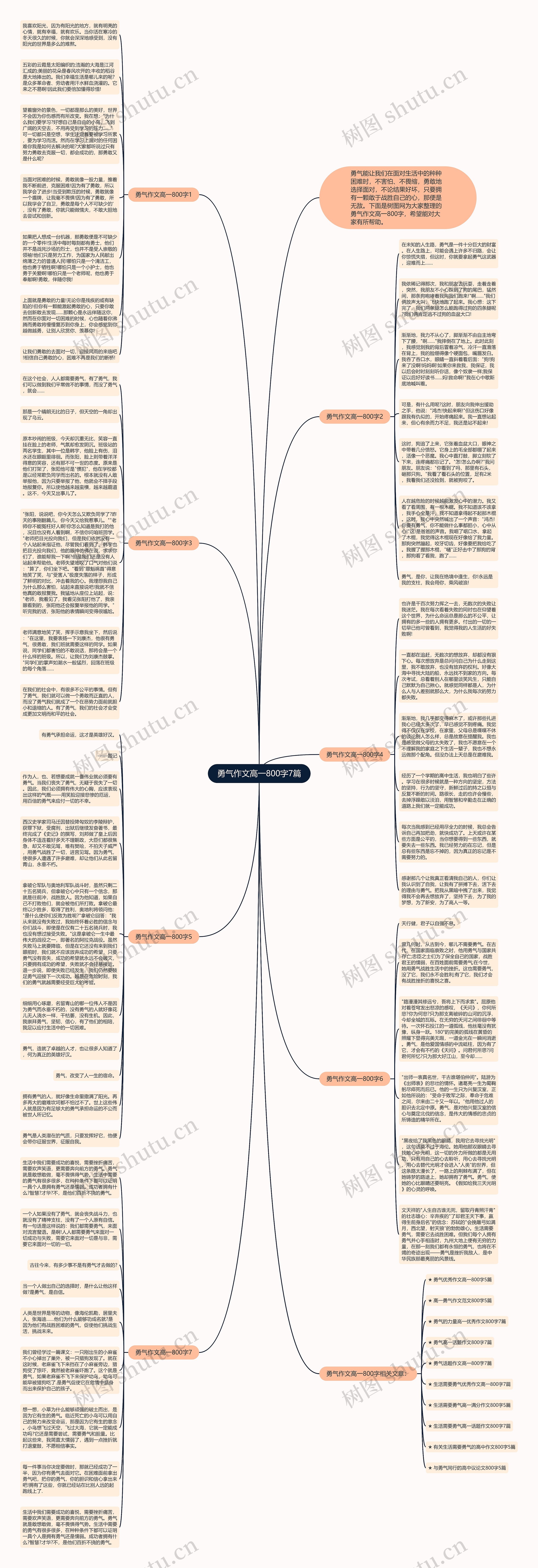 勇气作文高一800字7篇思维导图