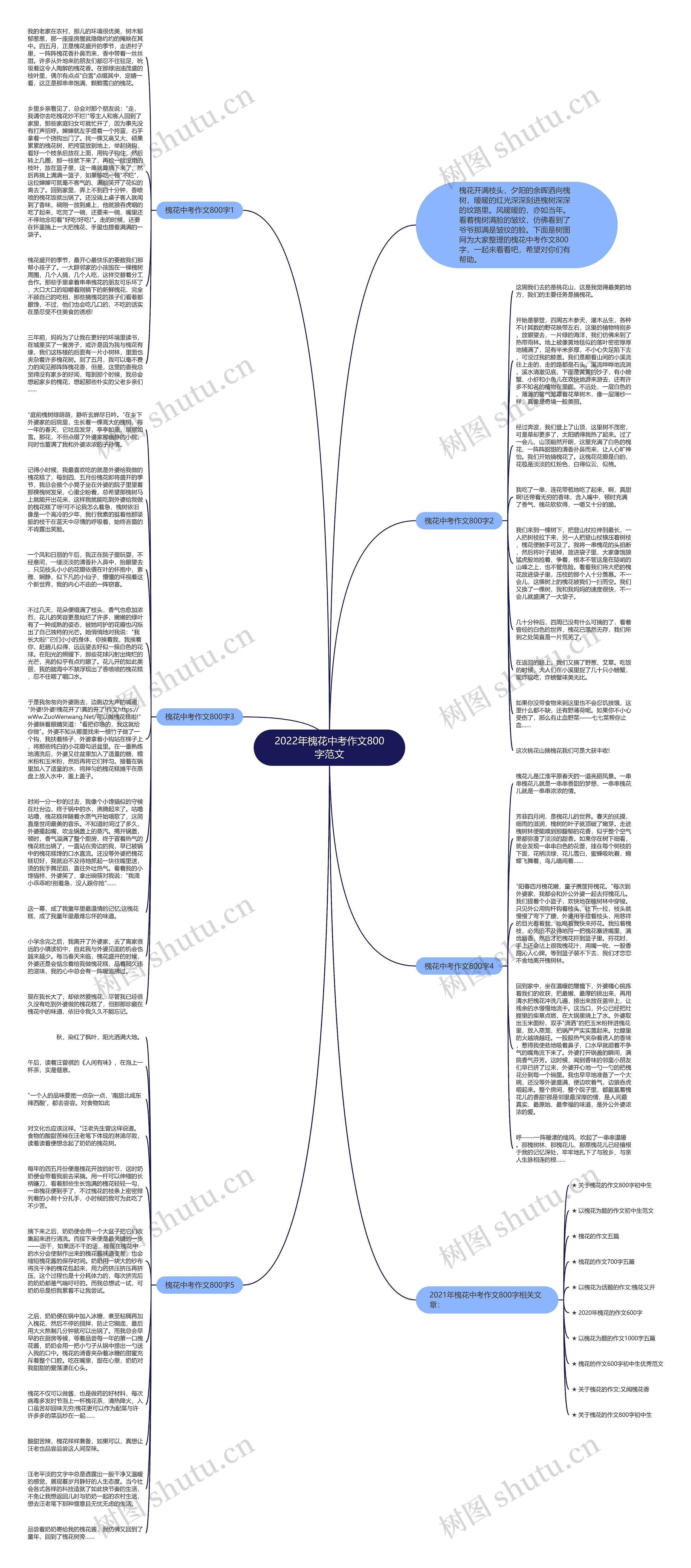 2022年槐花中考作文800字范文思维导图