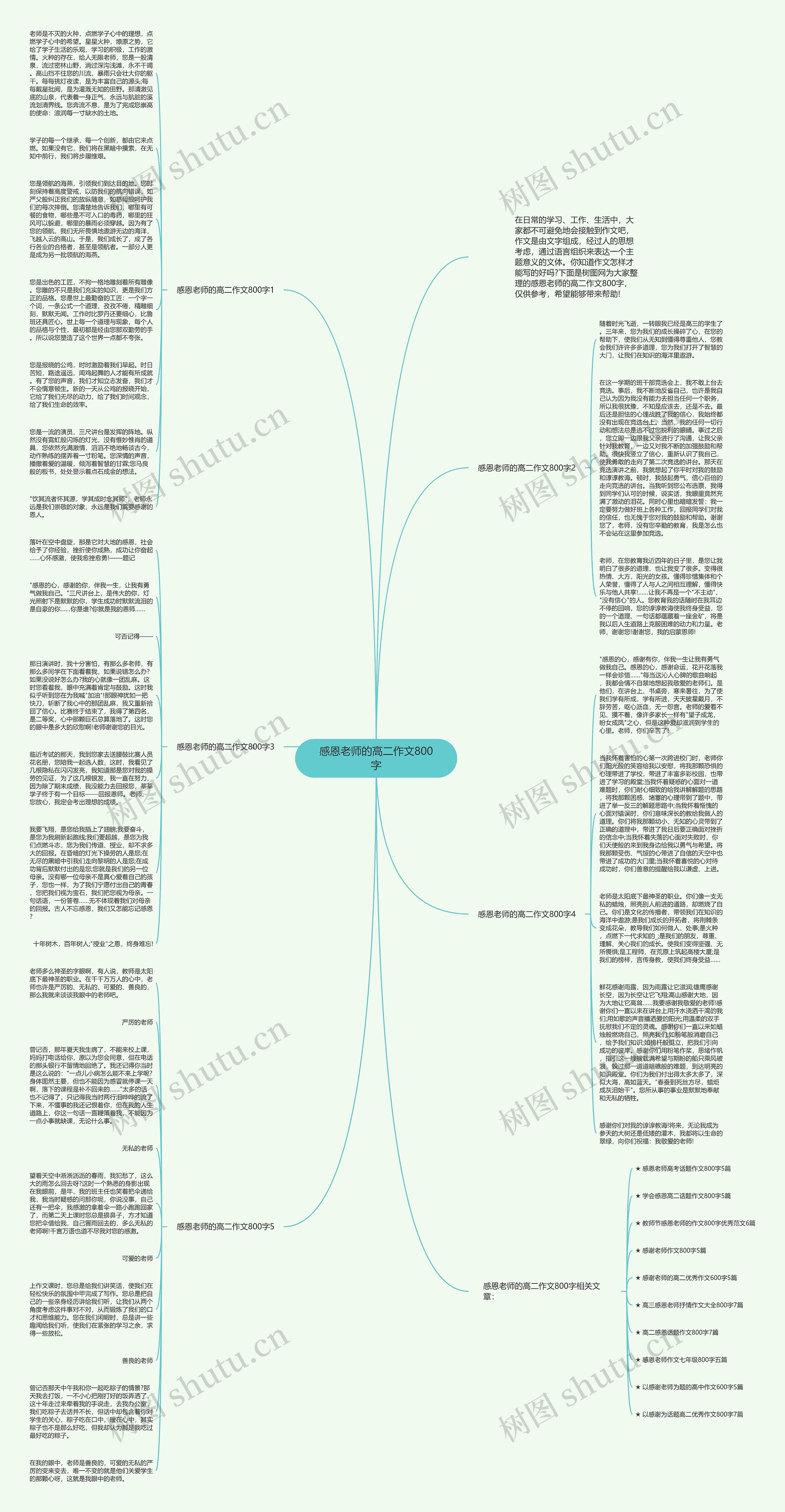感恩老师的高二作文800字思维导图
