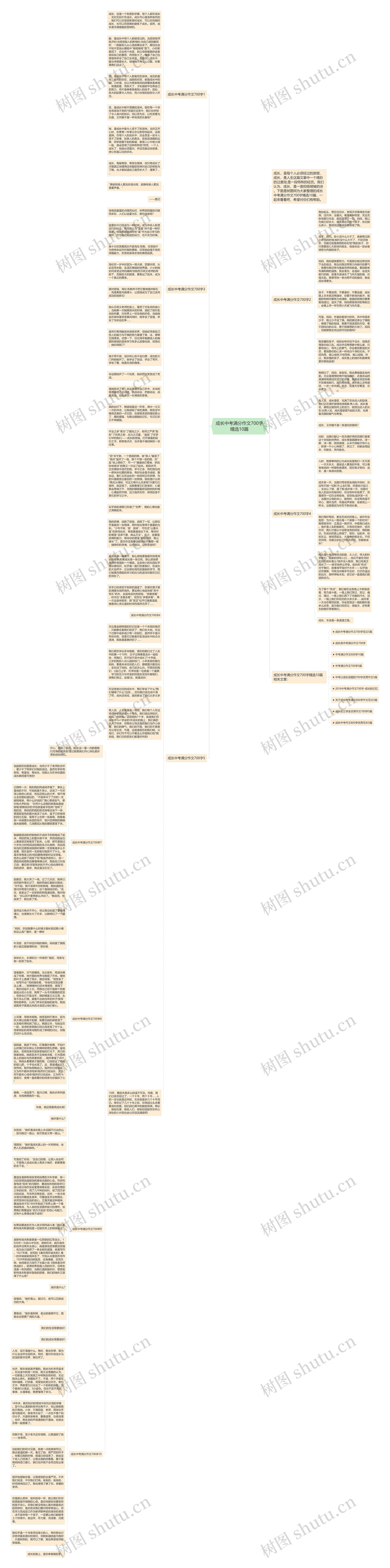 成长中考满分作文700字精选10篇思维导图