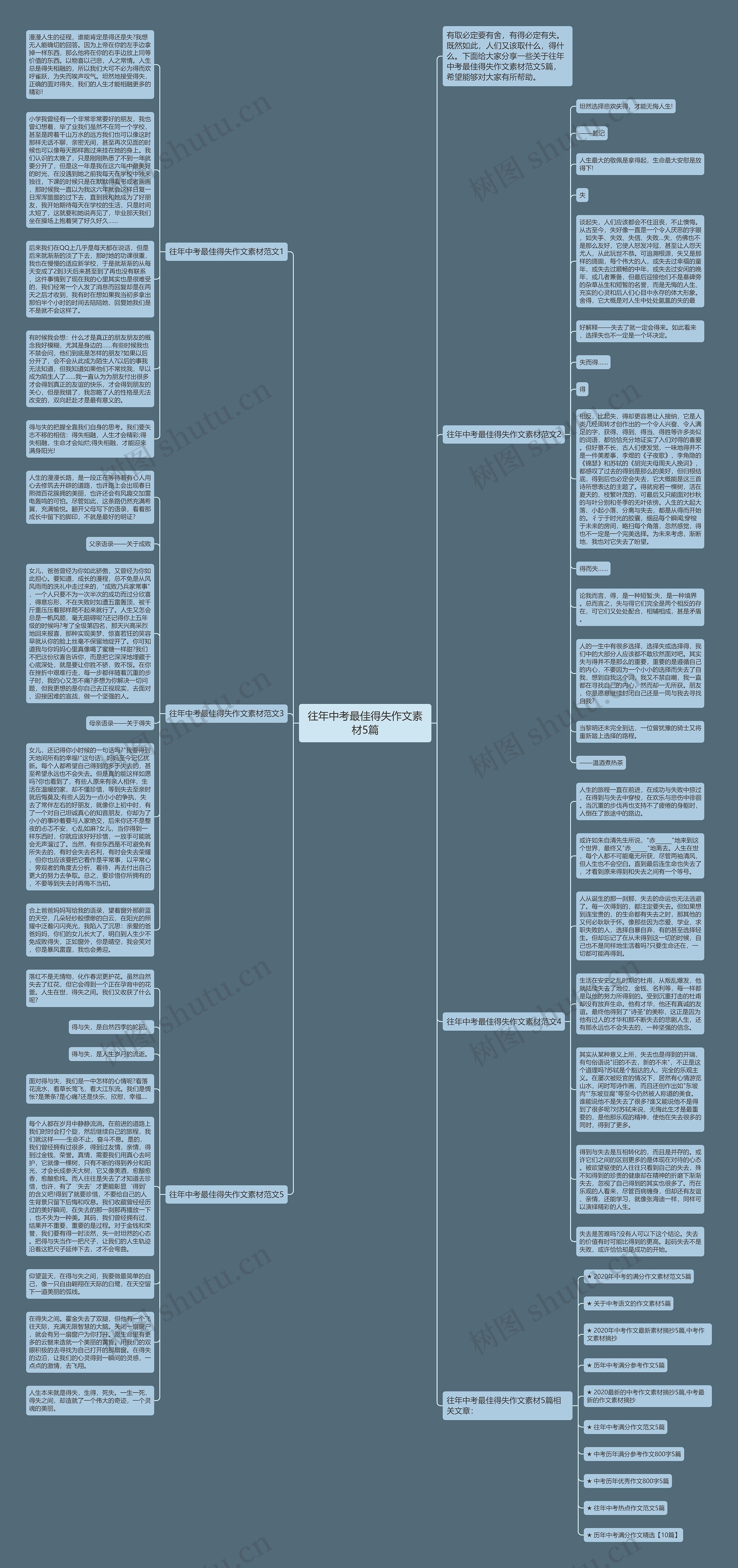 往年中考最佳得失作文素材5篇思维导图
