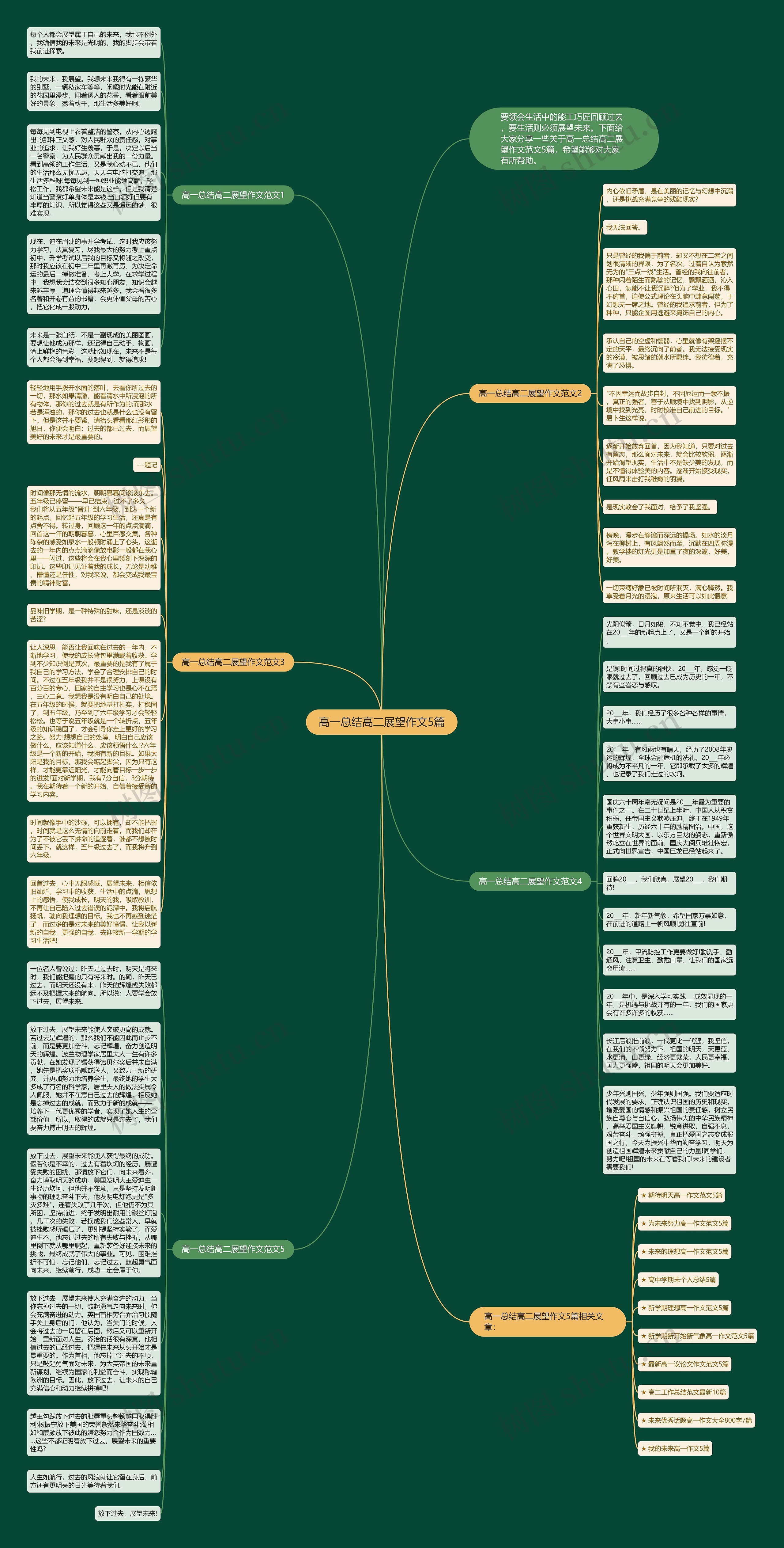 高一总结高二展望作文5篇思维导图