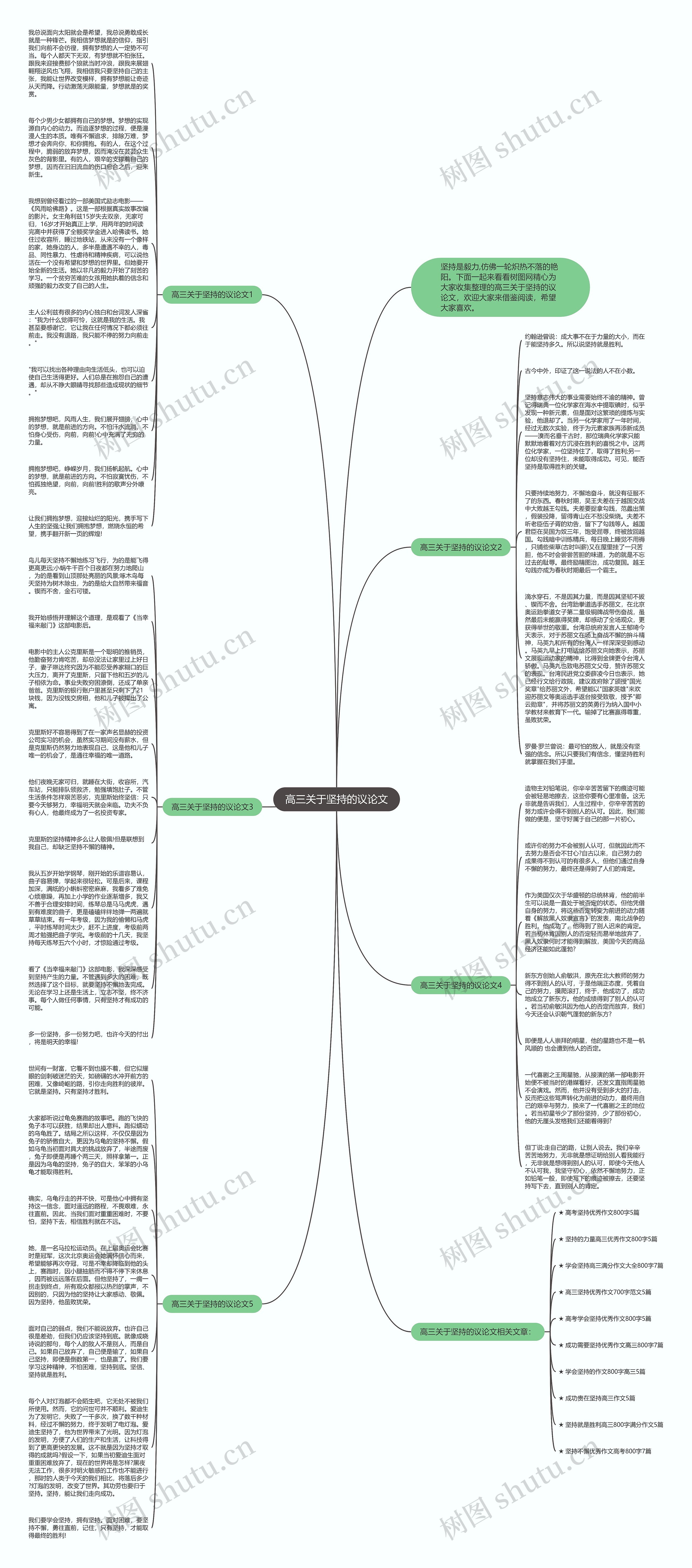 高三关于坚持的议论文思维导图