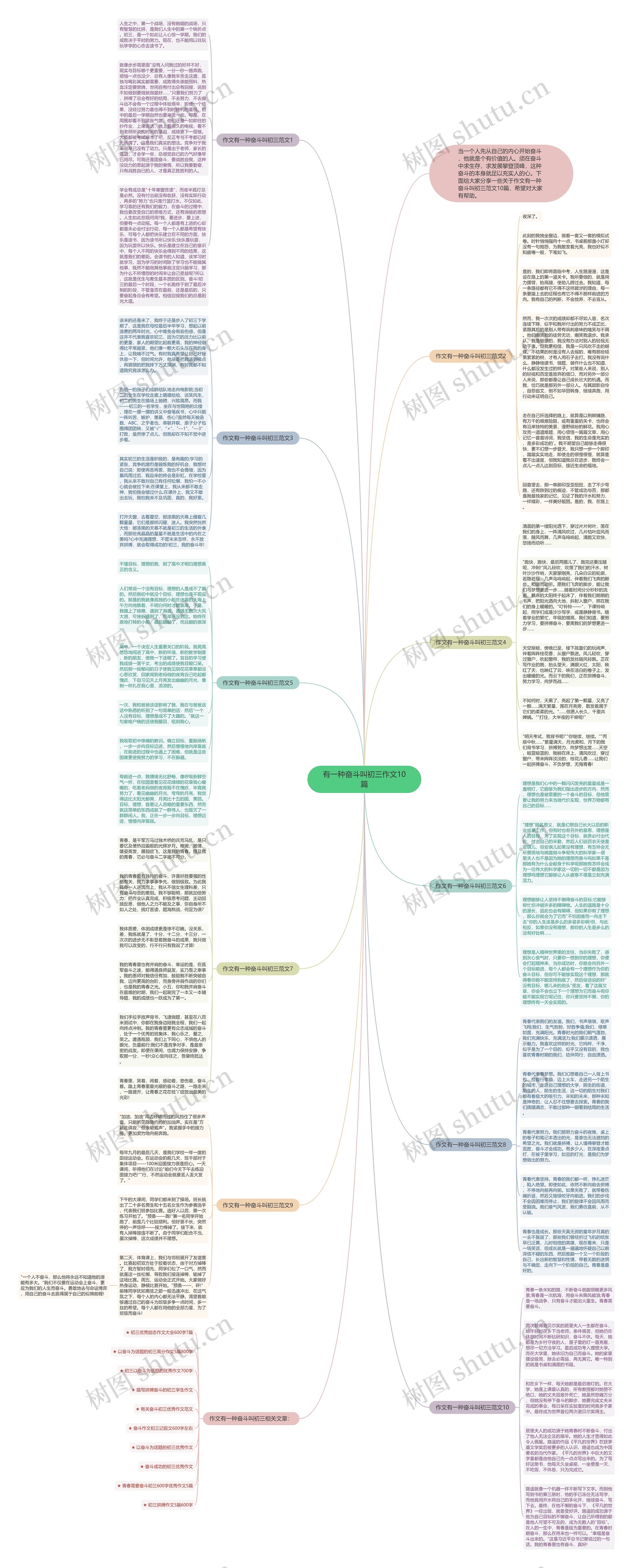 有一种奋斗叫初三作文10篇思维导图