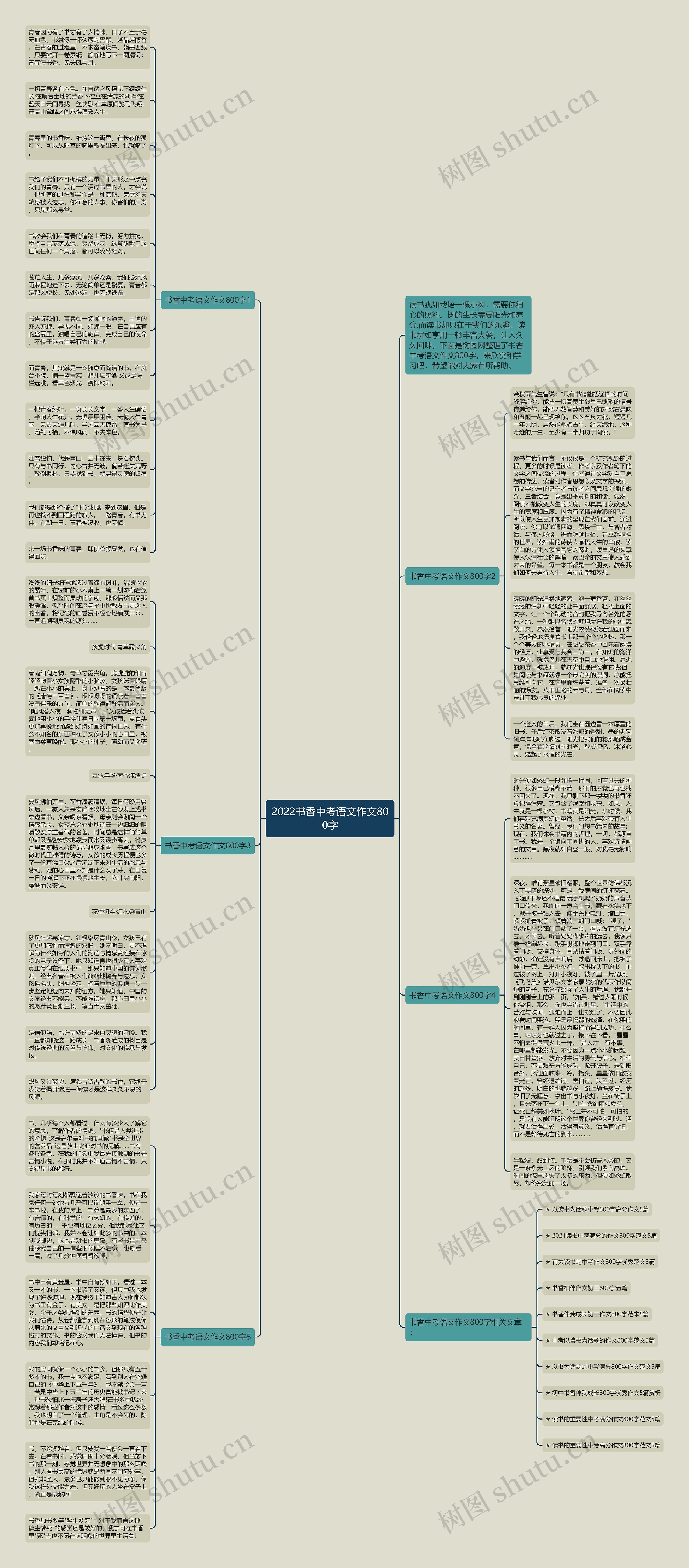 2022书香中考语文作文800字思维导图