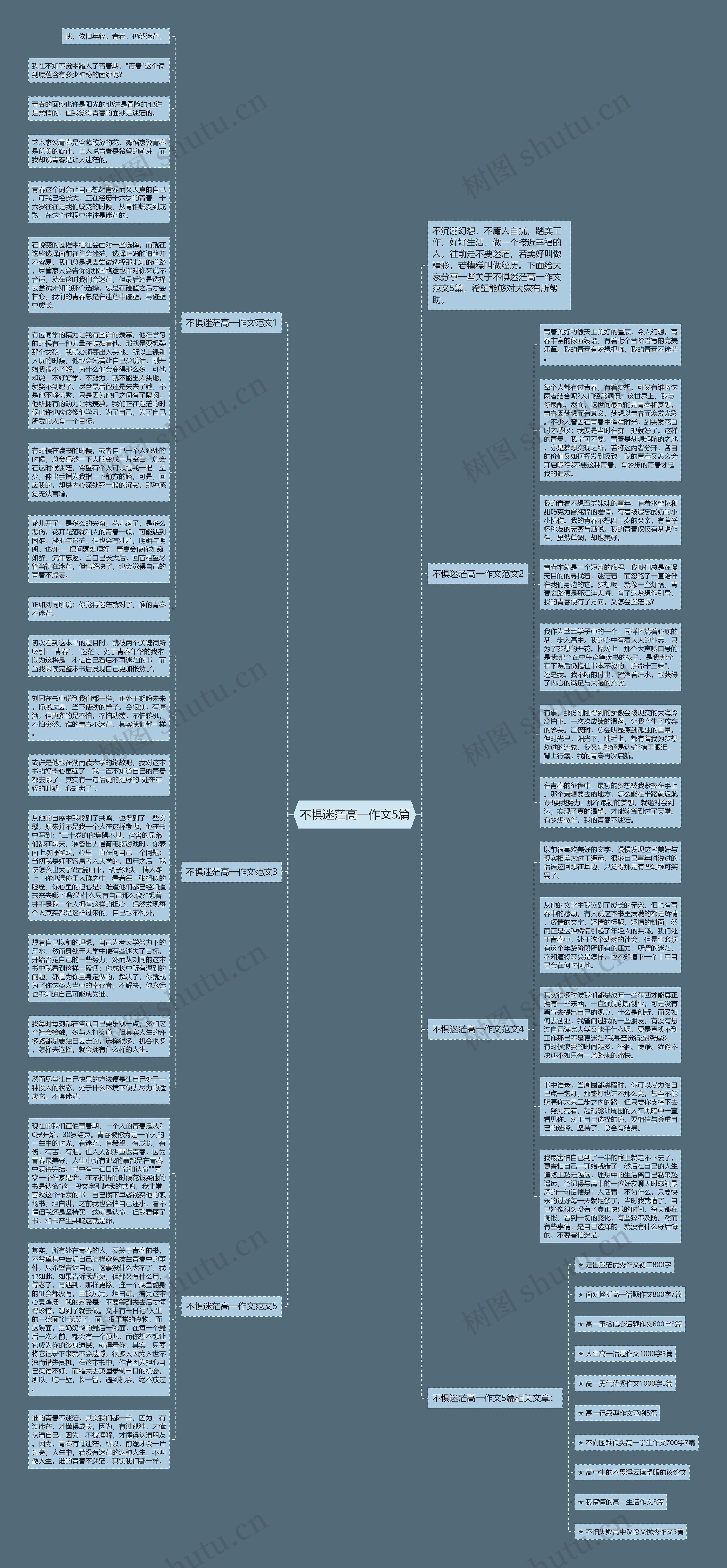 不惧迷茫高一作文5篇思维导图