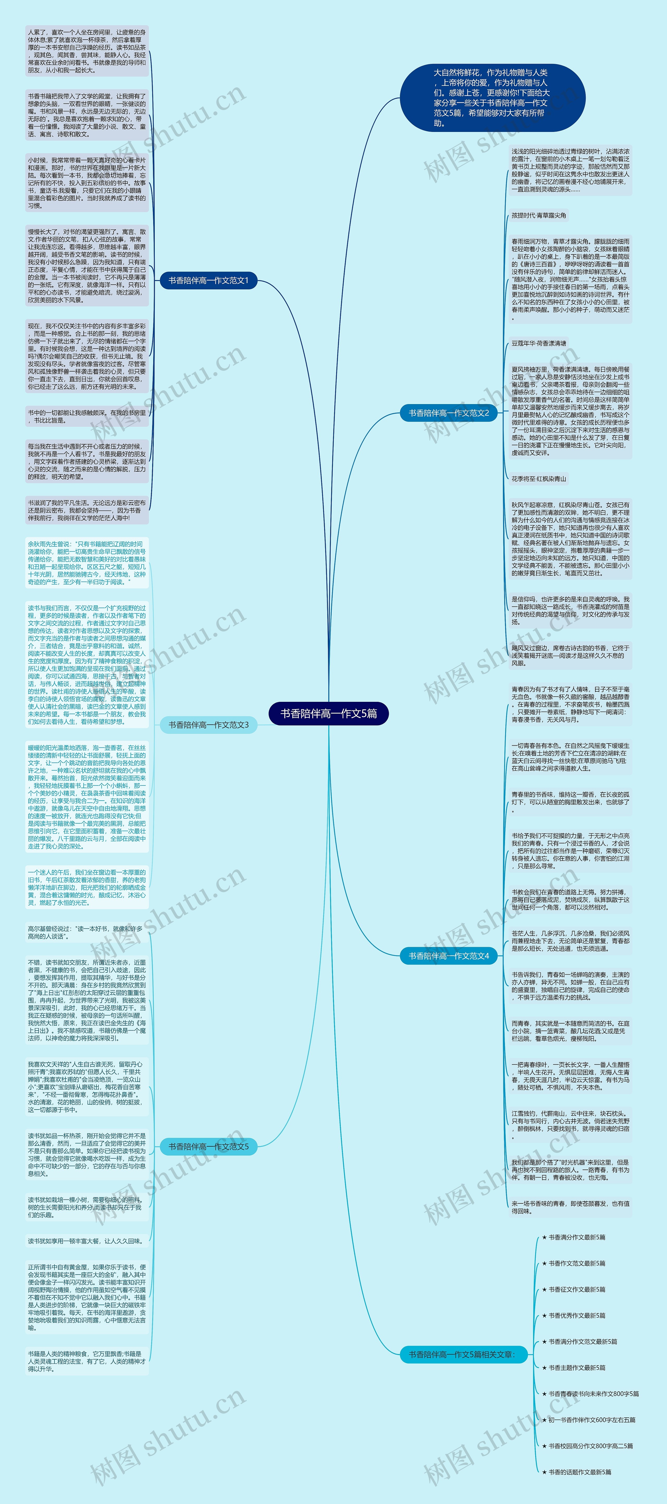 书香陪伴高一作文5篇思维导图